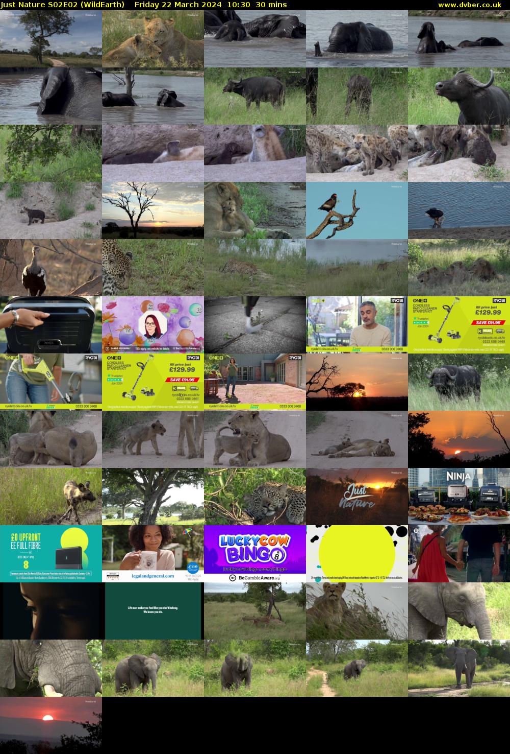 Just Nature S02E02 (WildEarth) Friday 22 March 2024 10:30 - 11:00