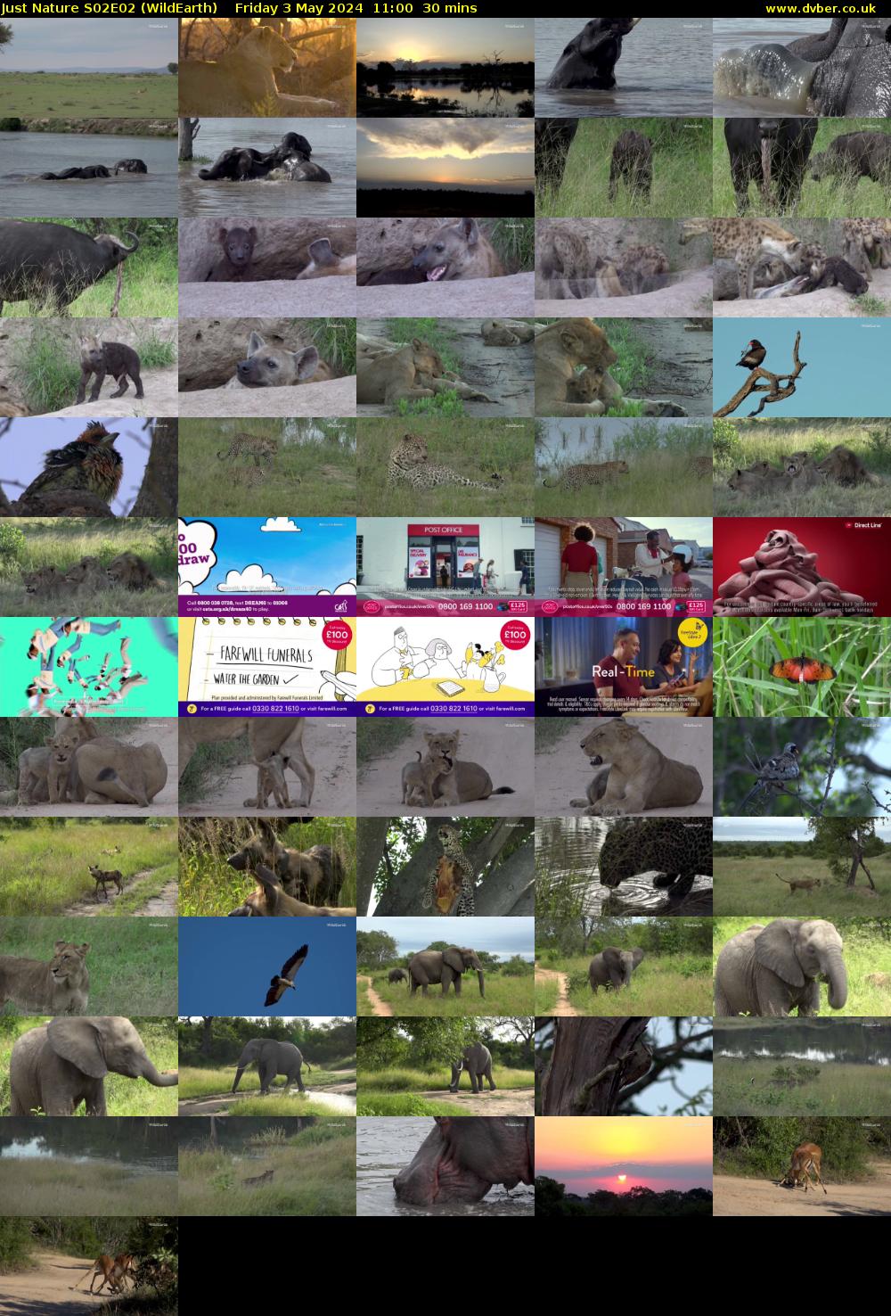 Just Nature S02E02 (WildEarth) Friday 3 May 2024 11:00 - 11:30