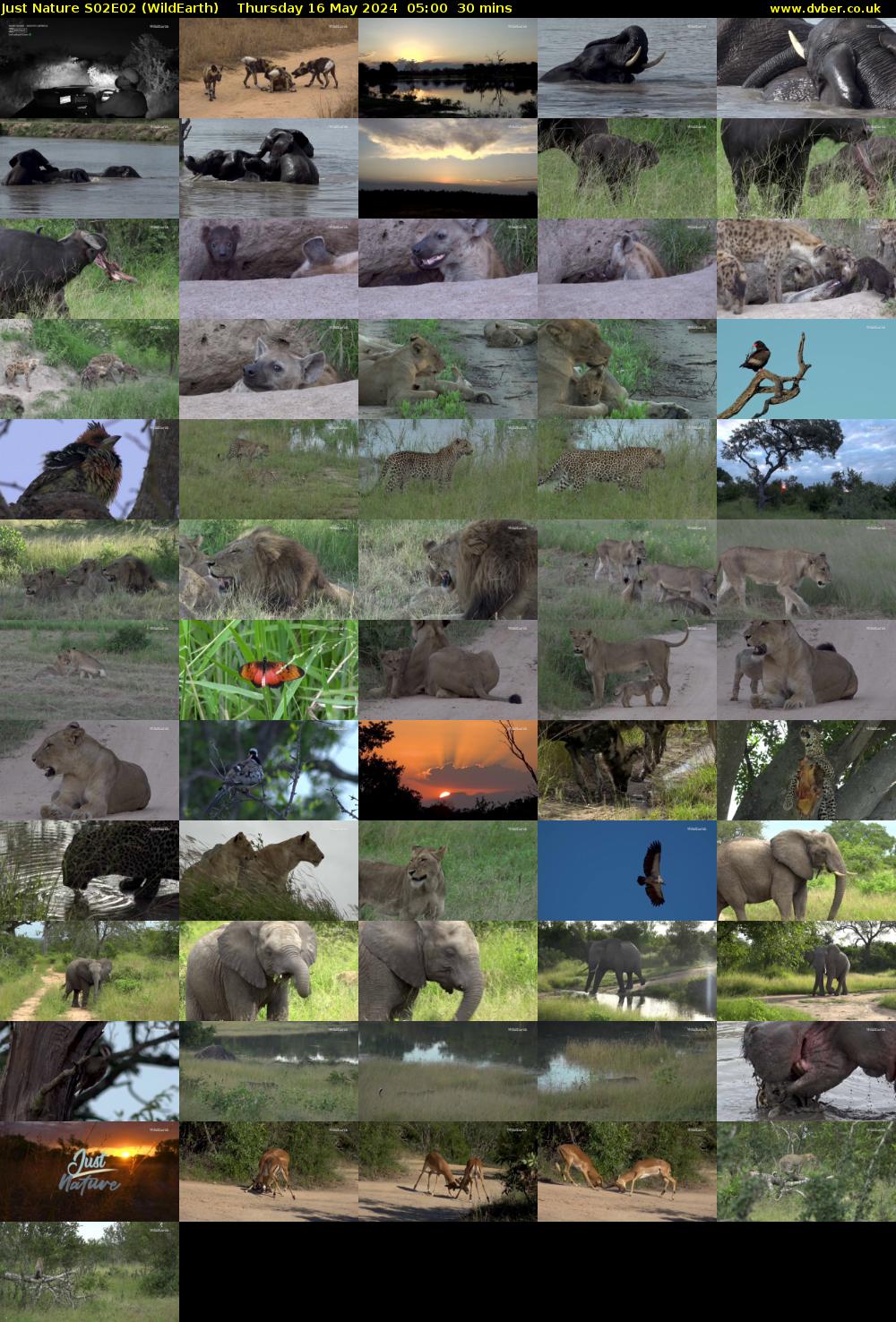 Just Nature S02E02 (WildEarth) Thursday 16 May 2024 05:00 - 05:30