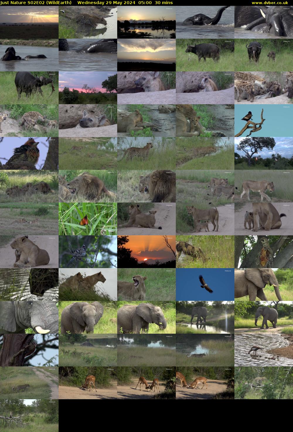 Just Nature S02E02 (WildEarth) Wednesday 29 May 2024 05:00 - 05:30