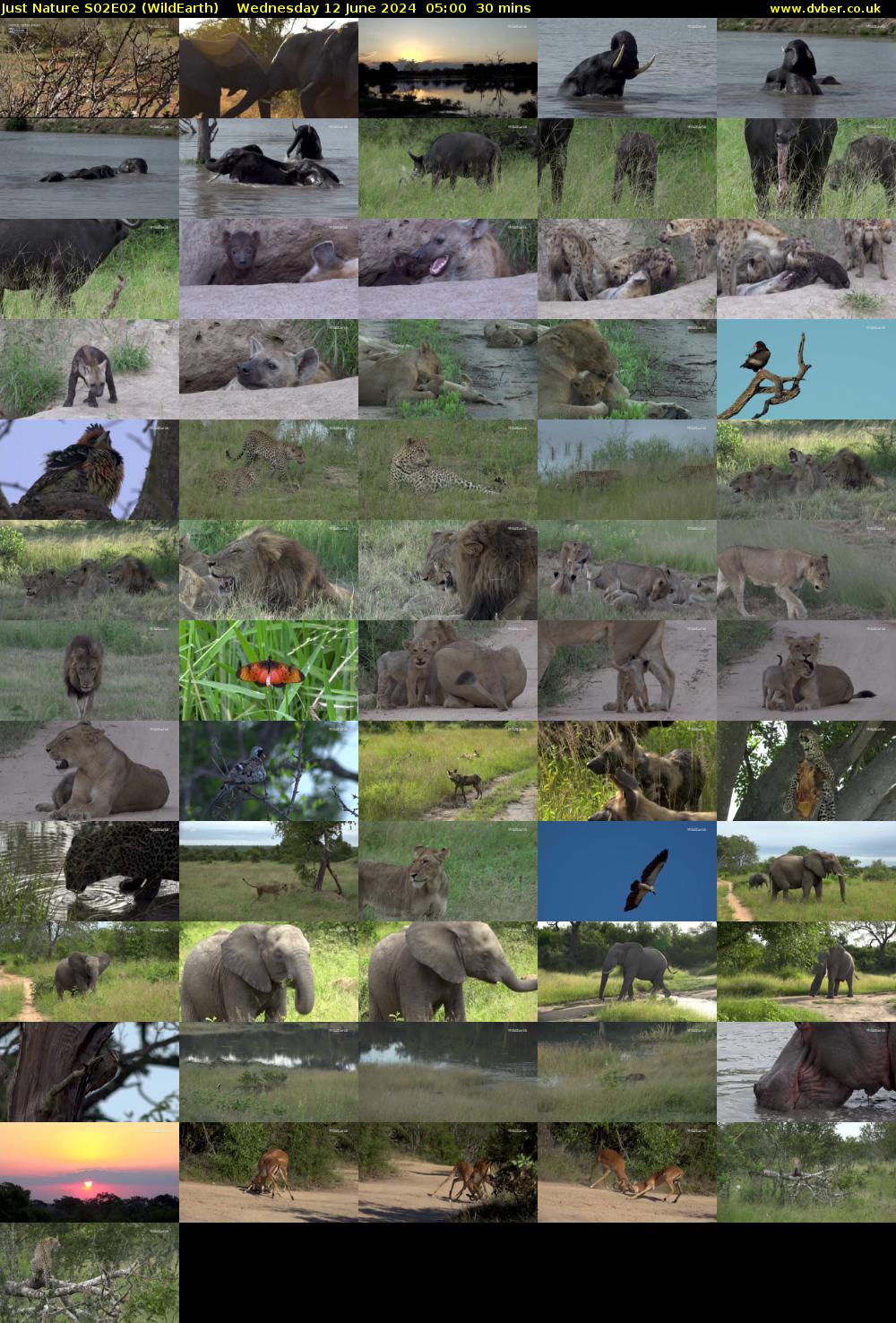 Just Nature S02E02 (WildEarth) Wednesday 12 June 2024 05:00 - 05:30