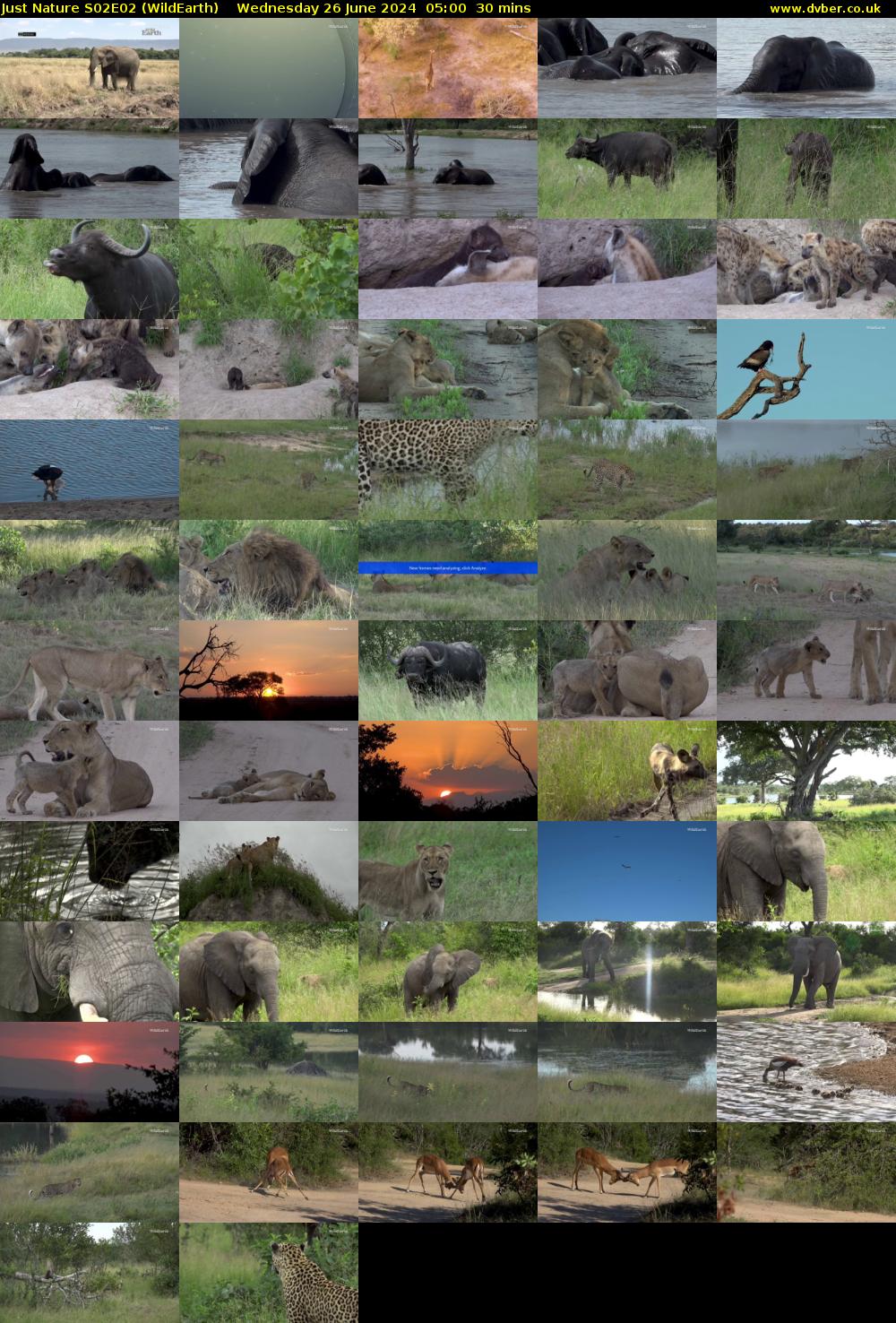 Just Nature S02E02 (WildEarth) Wednesday 26 June 2024 05:00 - 05:30