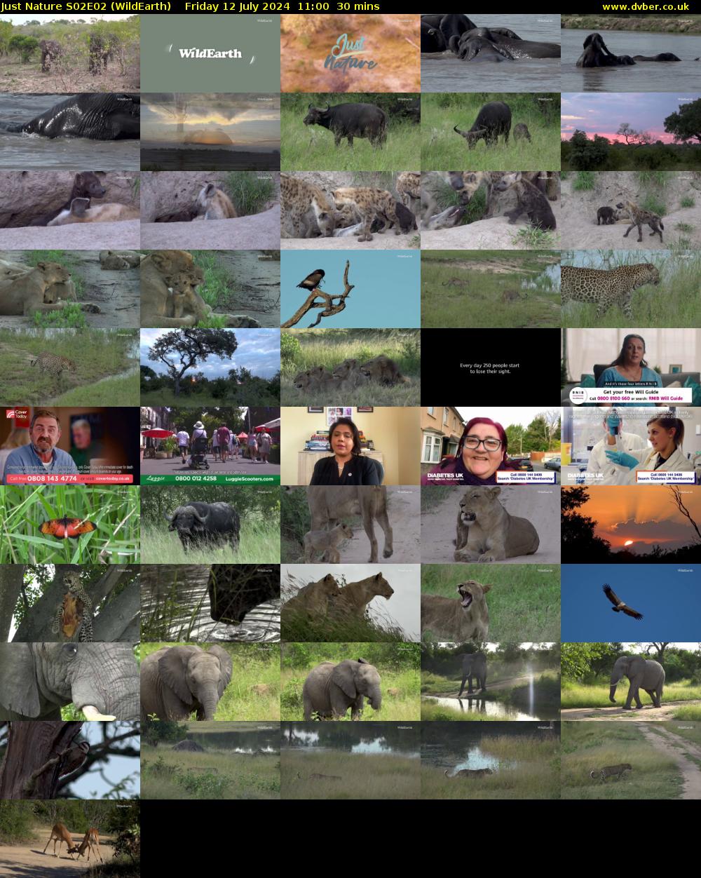 Just Nature S02E02 (WildEarth) Friday 12 July 2024 11:00 - 11:30