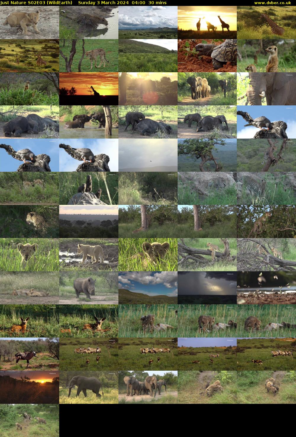 Just Nature S02E03 (WildEarth) Sunday 3 March 2024 04:00 - 04:30