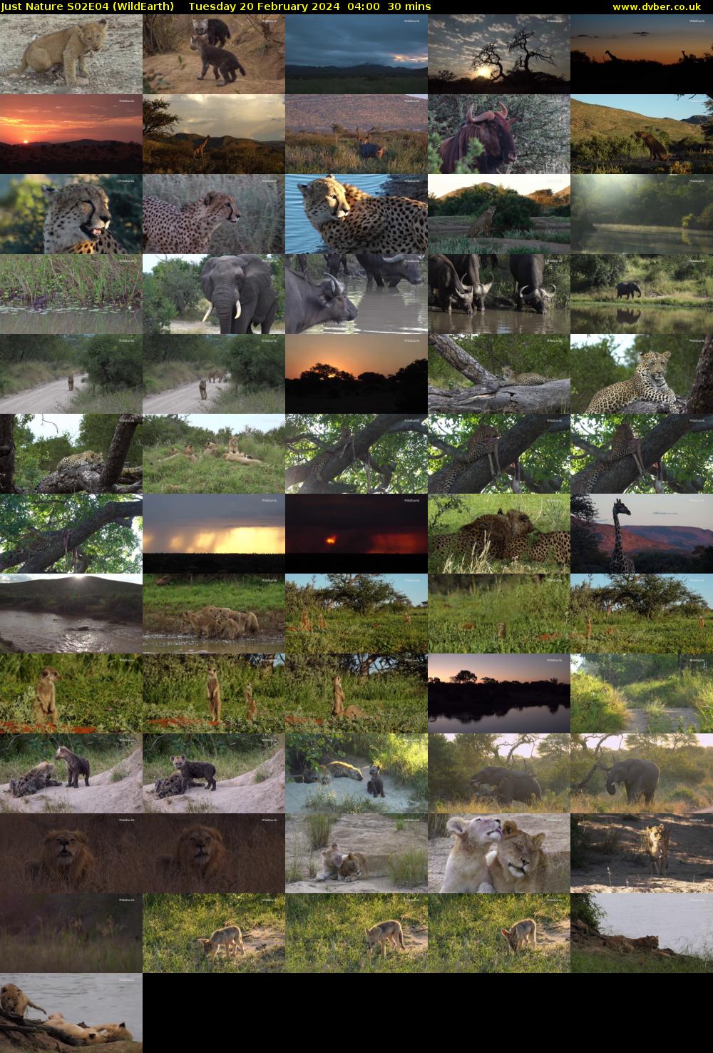 Just Nature S02E04 (WildEarth) Tuesday 20 February 2024 04:00 - 04:30