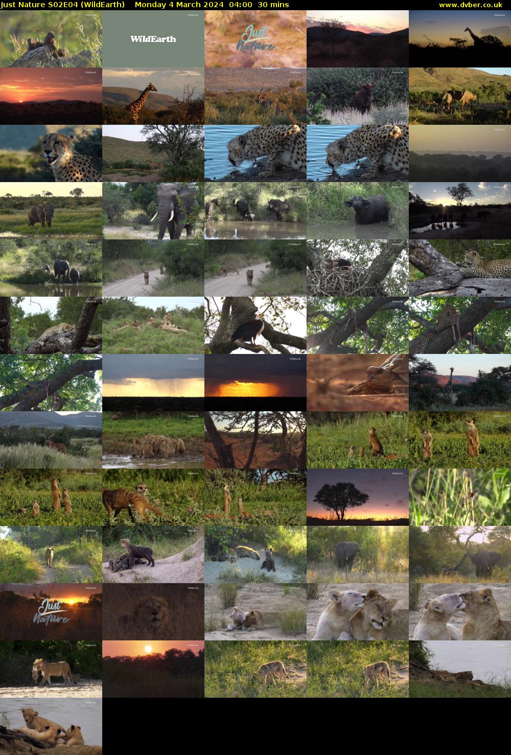 Just Nature S02E04 (WildEarth) Monday 4 March 2024 04:00 - 04:30