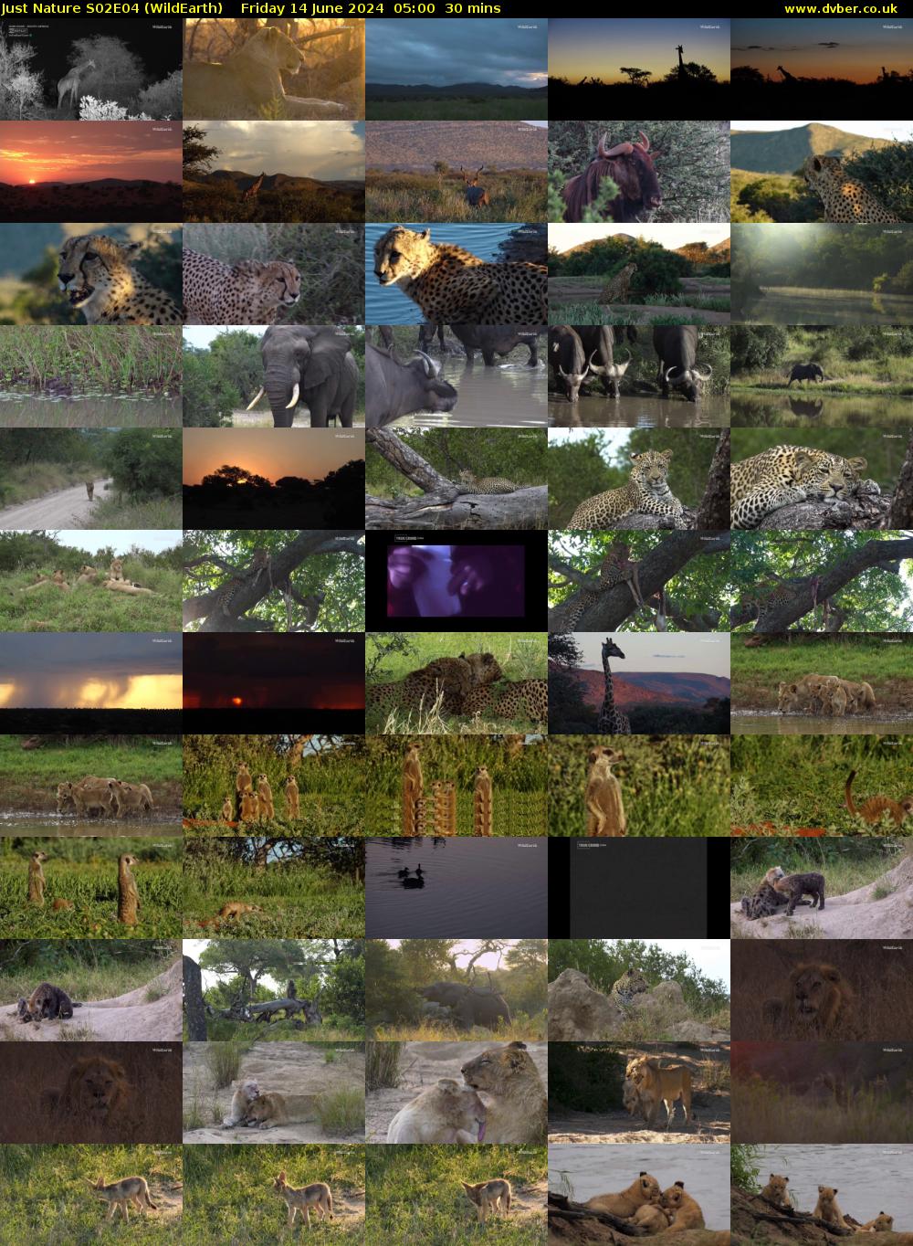 Just Nature S02E04 (WildEarth) Friday 14 June 2024 05:00 - 05:30