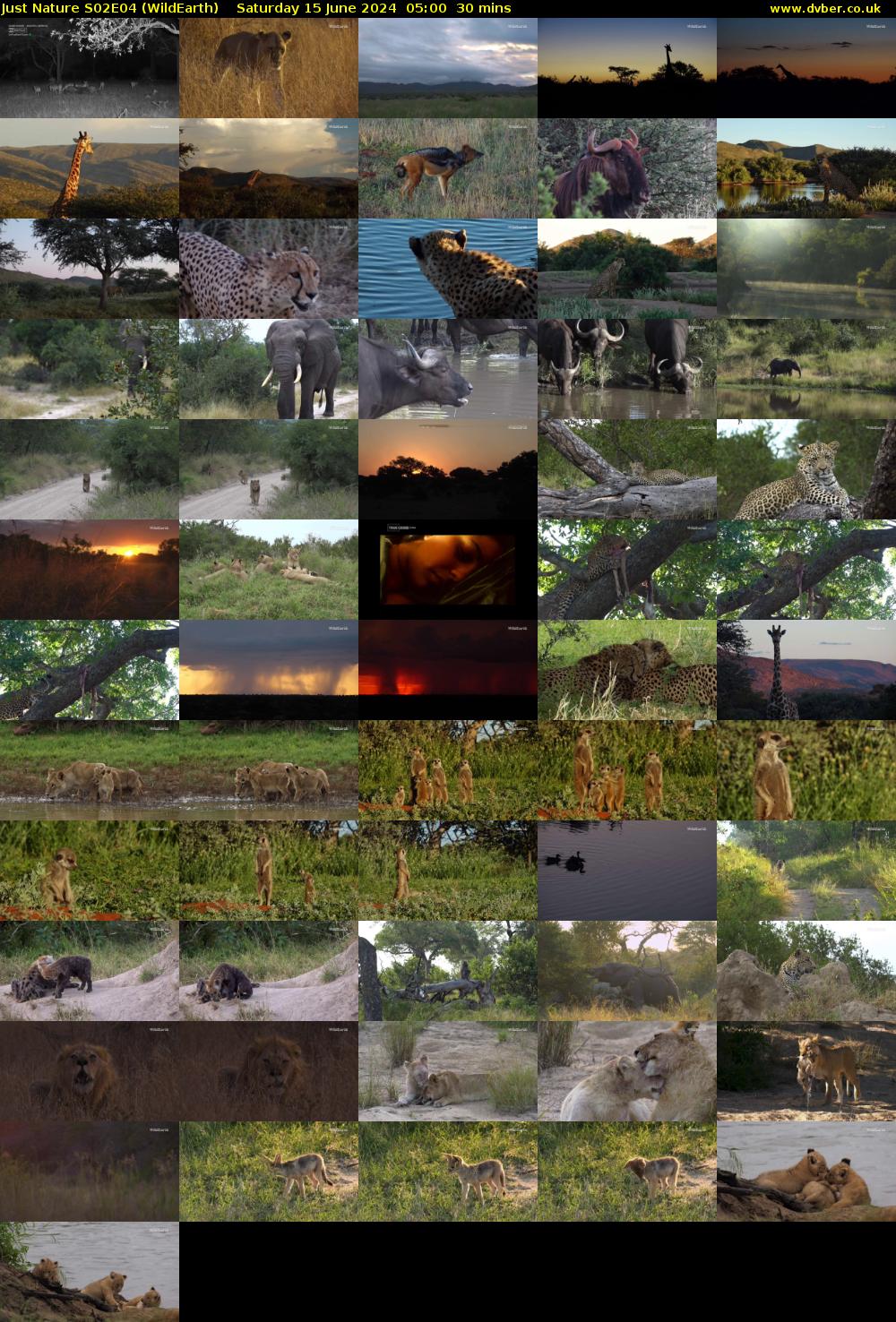 Just Nature S02E04 (WildEarth) Saturday 15 June 2024 05:00 - 05:30