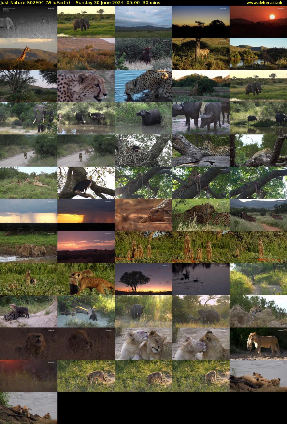 Just Nature S02E04 (WildEarth) Sunday 30 June 2024 05:00 - 05:30