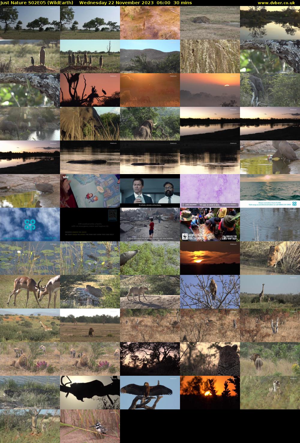 Just Nature S02E05 (WildEarth) Wednesday 22 November 2023 06:00 - 06:30