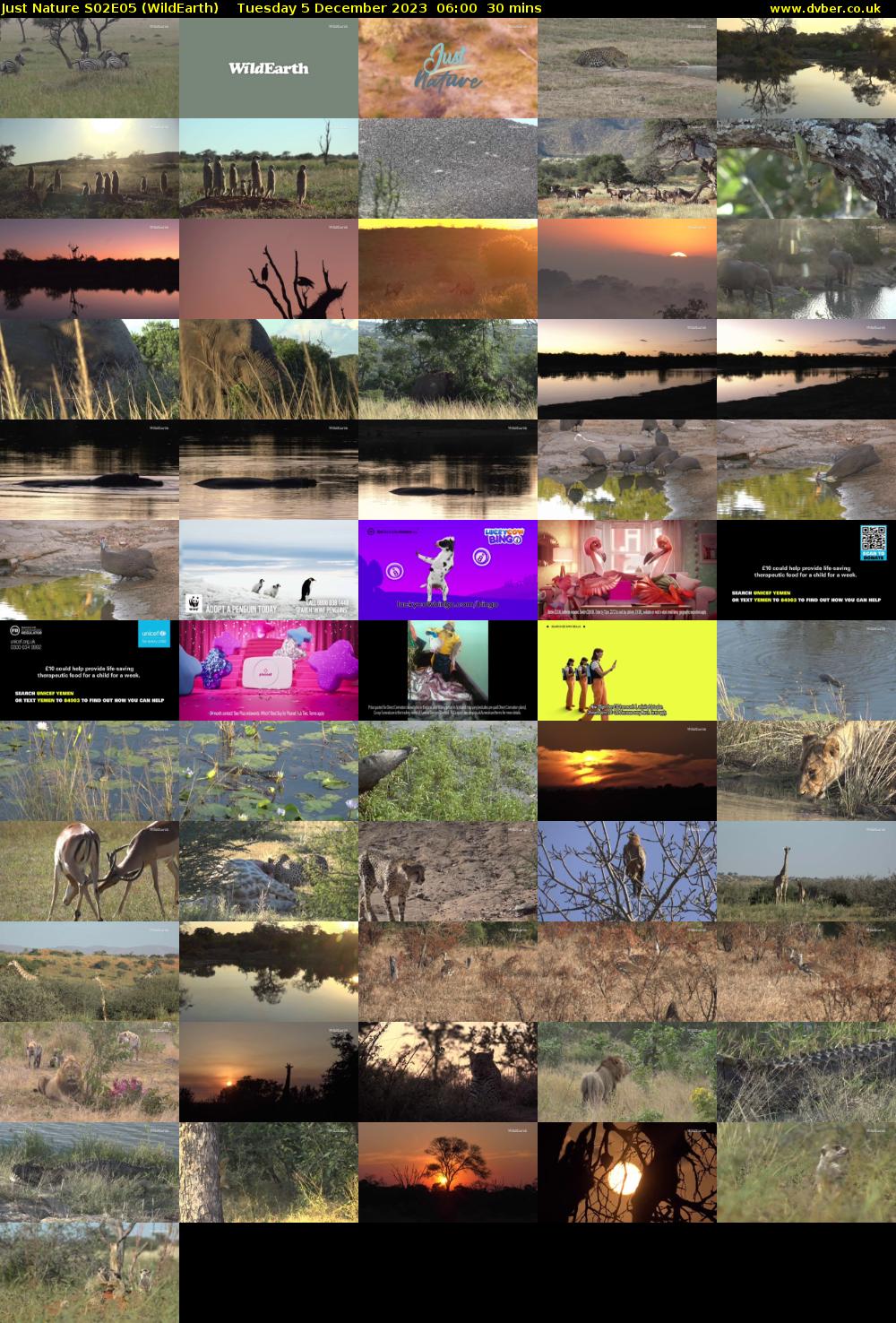 Just Nature S02E05 (WildEarth) Tuesday 5 December 2023 06:00 - 06:30