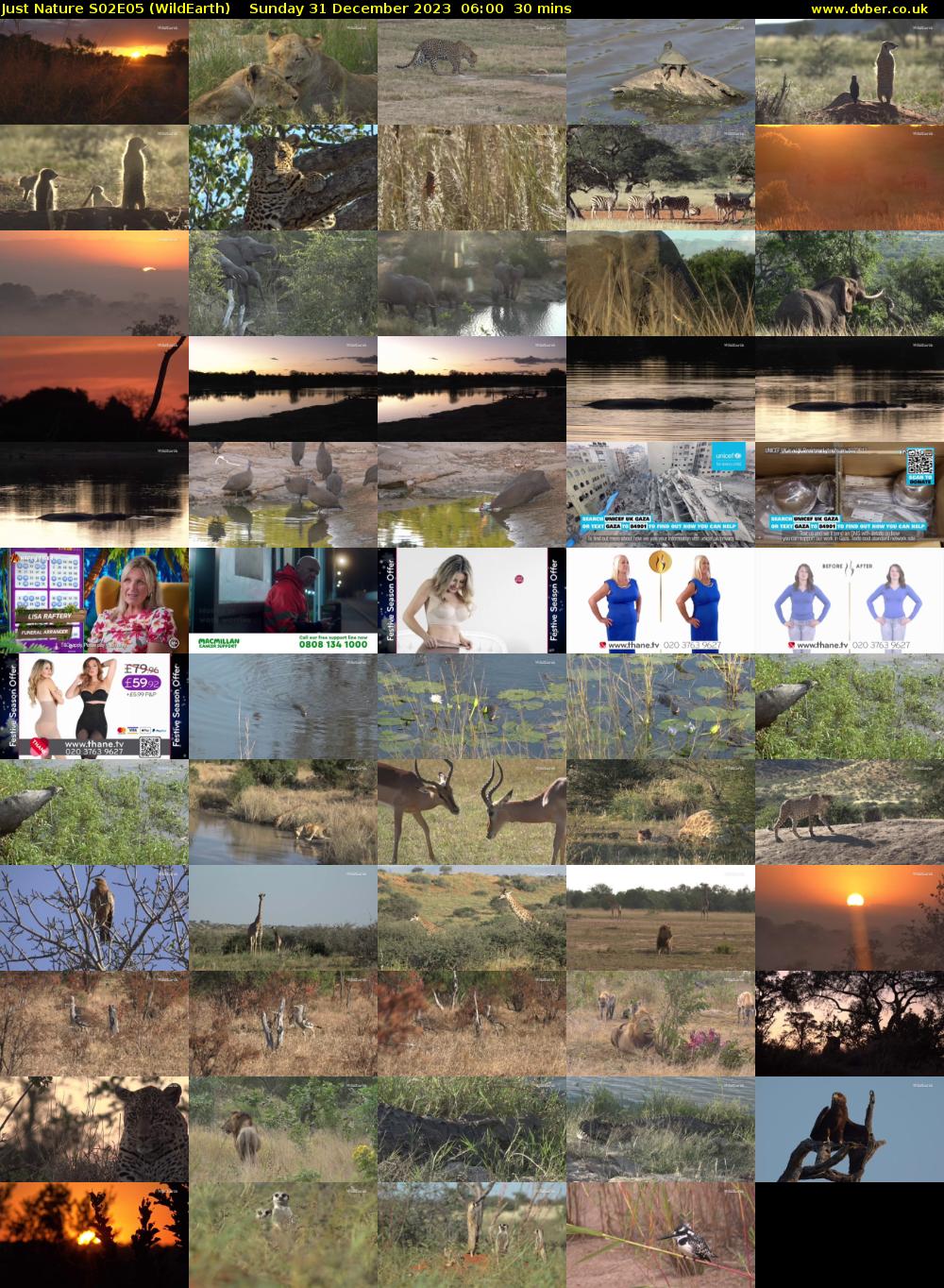 Just Nature S02E05 (WildEarth) Sunday 31 December 2023 06:00 - 06:30
