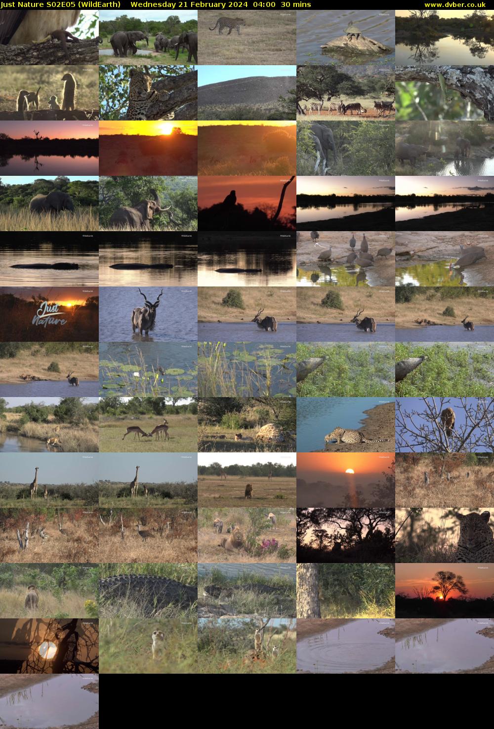 Just Nature S02E05 (WildEarth) Wednesday 21 February 2024 04:00 - 04:30