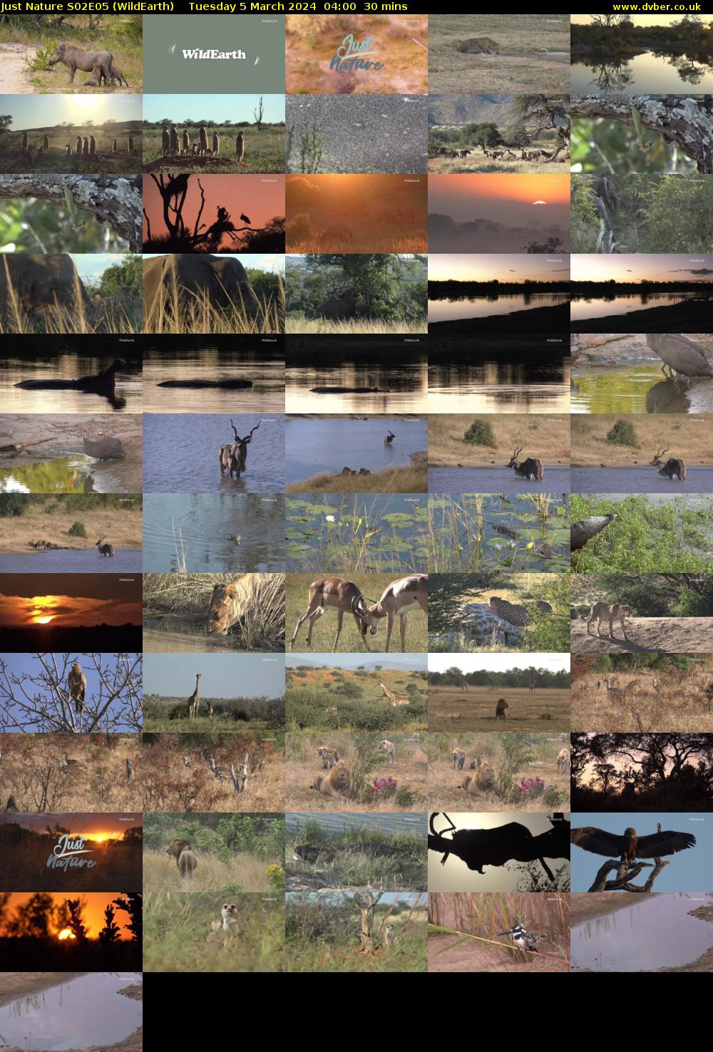 Just Nature S02E05 (WildEarth) Tuesday 5 March 2024 04:00 - 04:30
