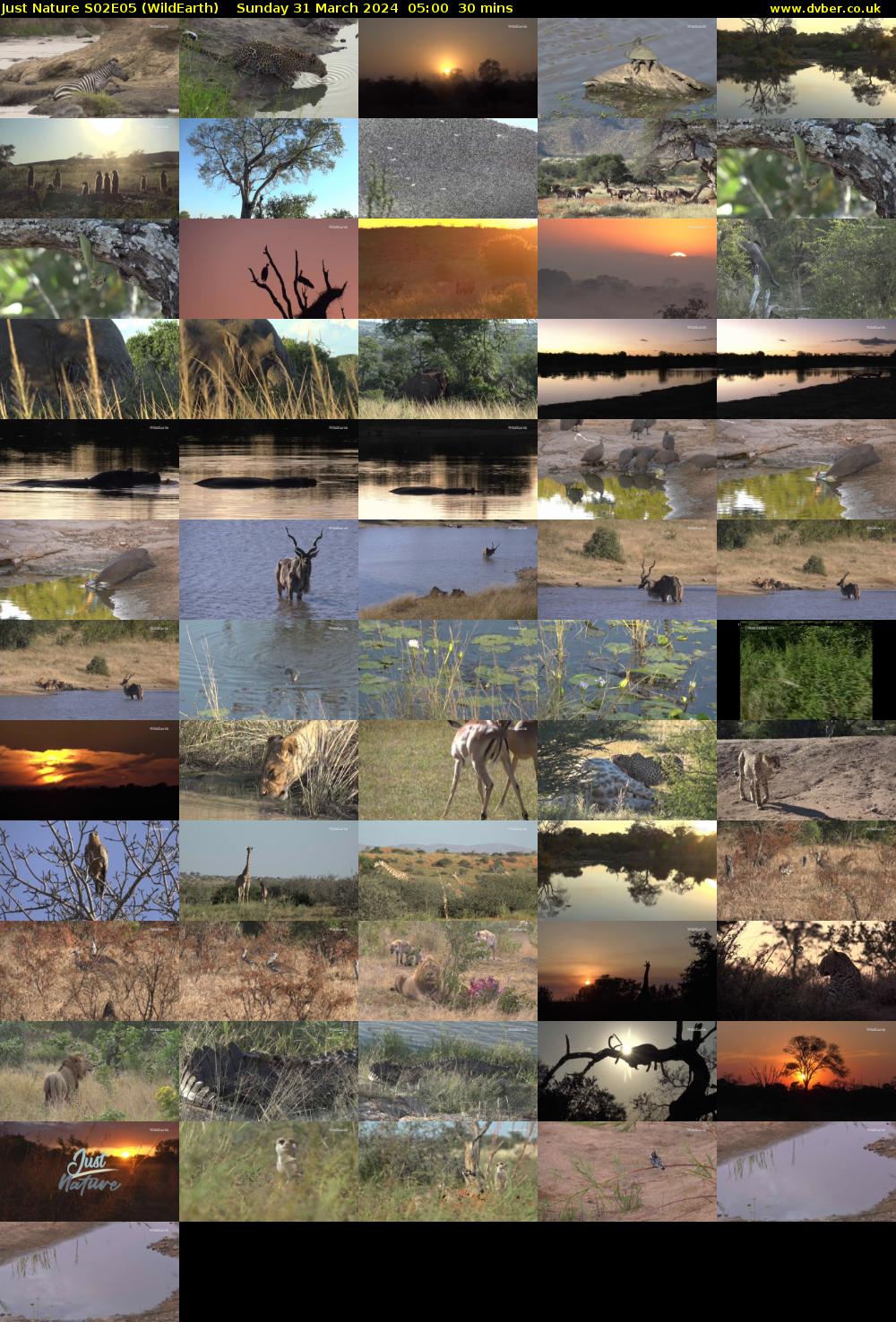 Just Nature S02E05 (WildEarth) Sunday 31 March 2024 05:00 - 05:30