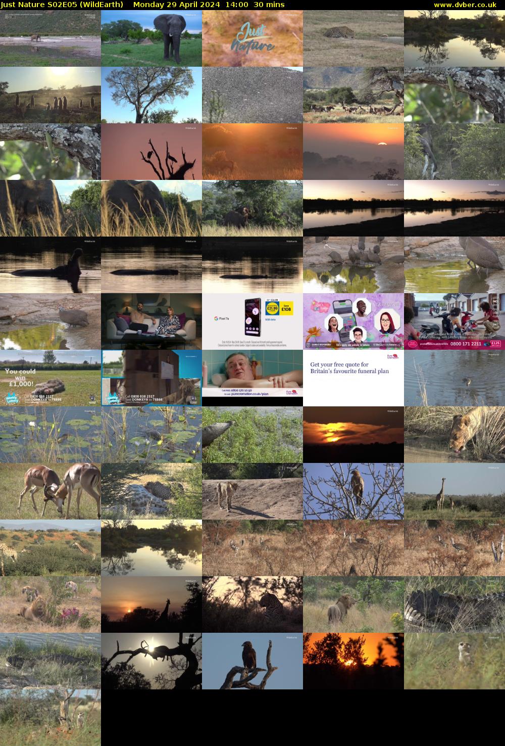 Just Nature S02E05 (WildEarth) Monday 29 April 2024 14:00 - 14:30