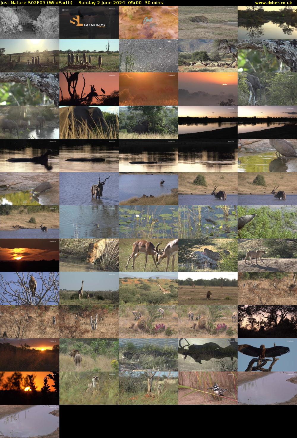 Just Nature S02E05 (WildEarth) Sunday 2 June 2024 05:00 - 05:30