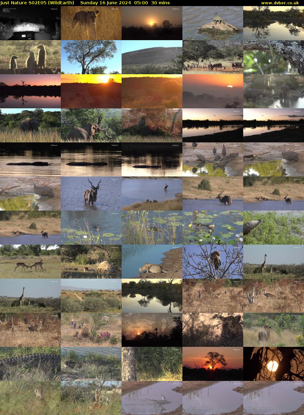 Just Nature S02E05 (WildEarth) Sunday 16 June 2024 05:00 - 05:30