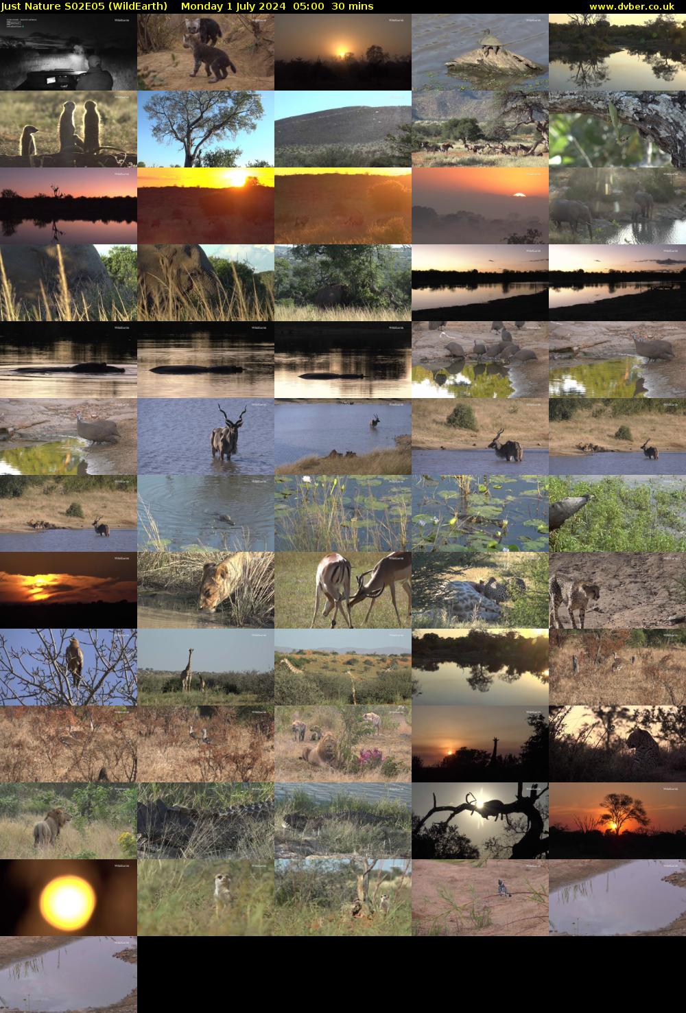 Just Nature S02E05 (WildEarth) Monday 1 July 2024 05:00 - 05:30