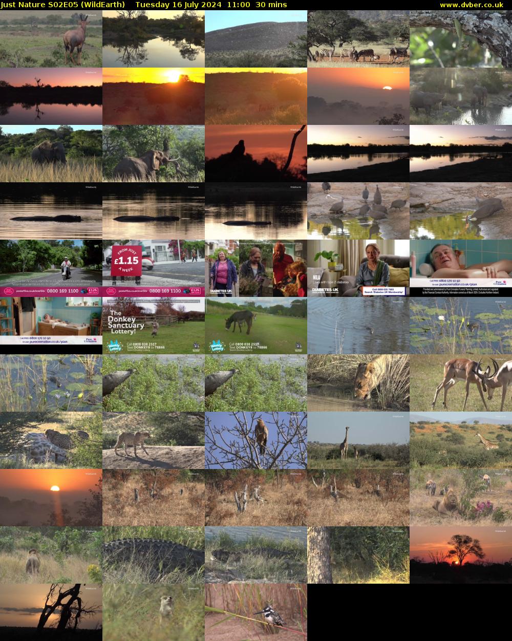 Just Nature S02E05 (WildEarth) Tuesday 16 July 2024 11:00 - 11:30
