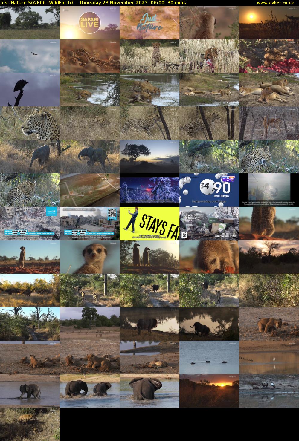 Just Nature S02E06 (WildEarth) Thursday 23 November 2023 06:00 - 06:30