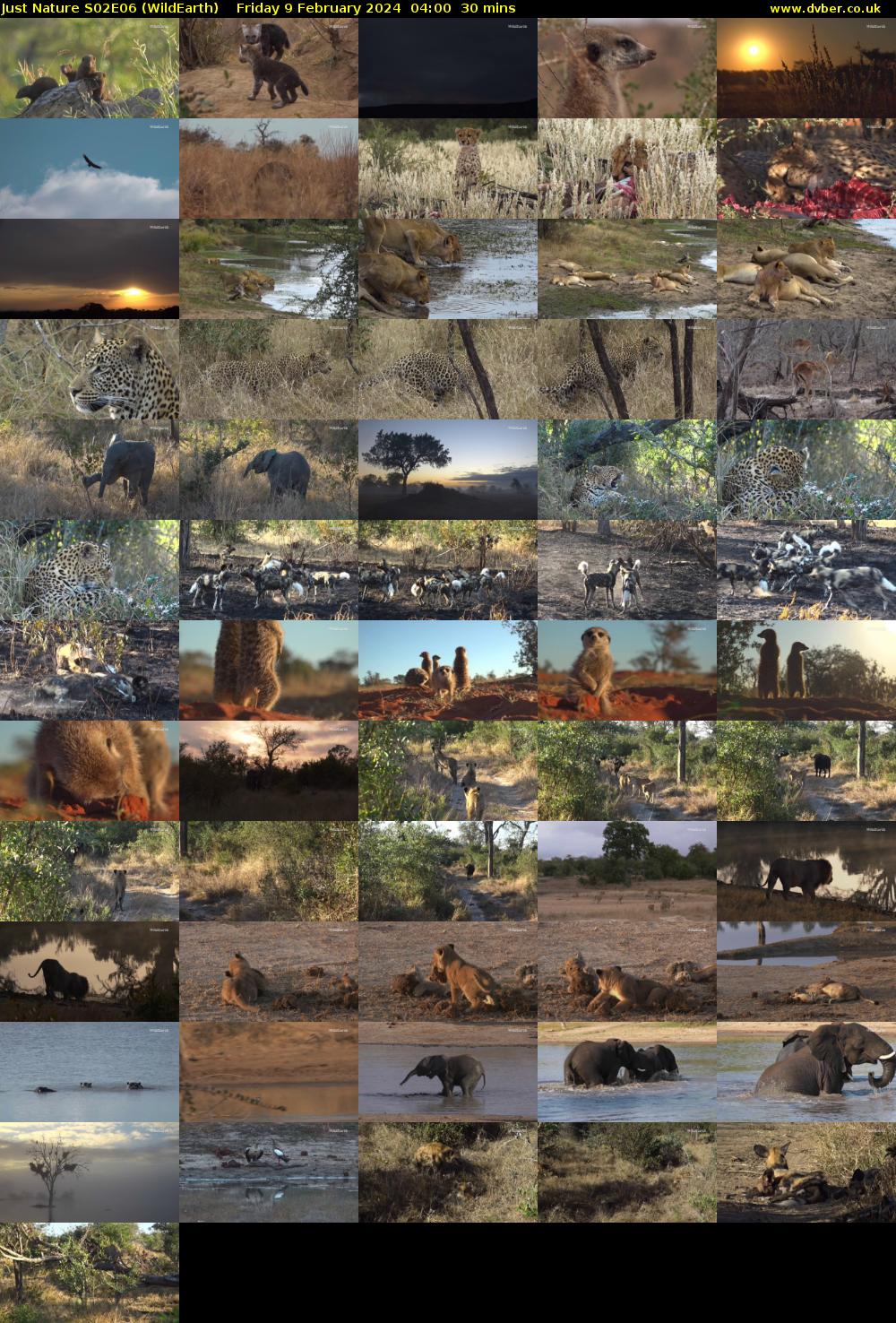 Just Nature S02E06 (WildEarth) Friday 9 February 2024 04:00 - 04:30
