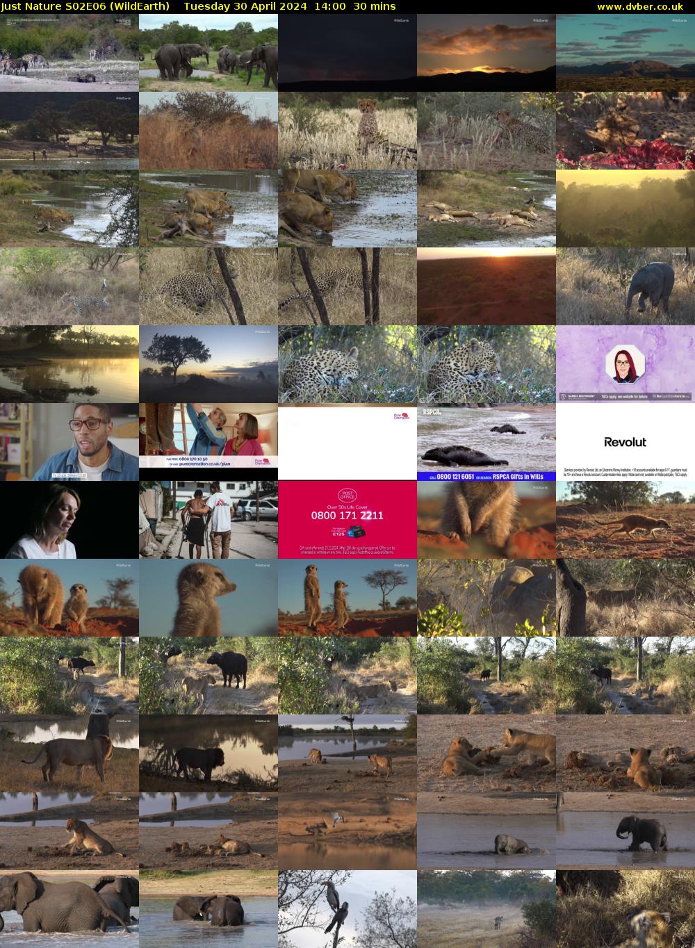 Just Nature S02E06 (WildEarth) Tuesday 30 April 2024 14:00 - 14:30