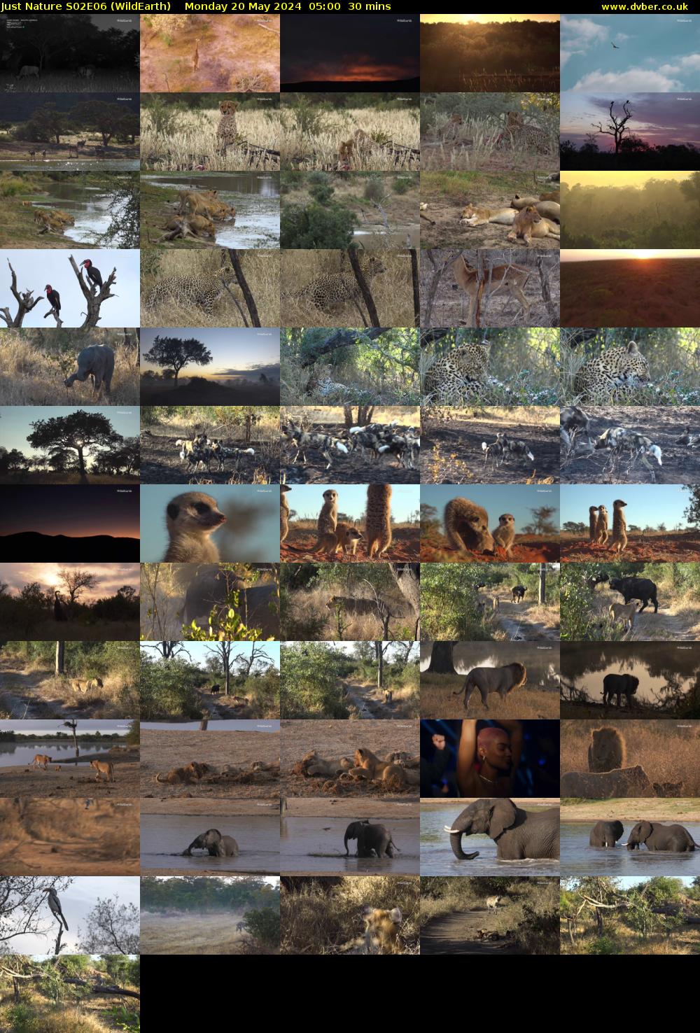 Just Nature S02E06 (WildEarth) Monday 20 May 2024 05:00 - 05:30