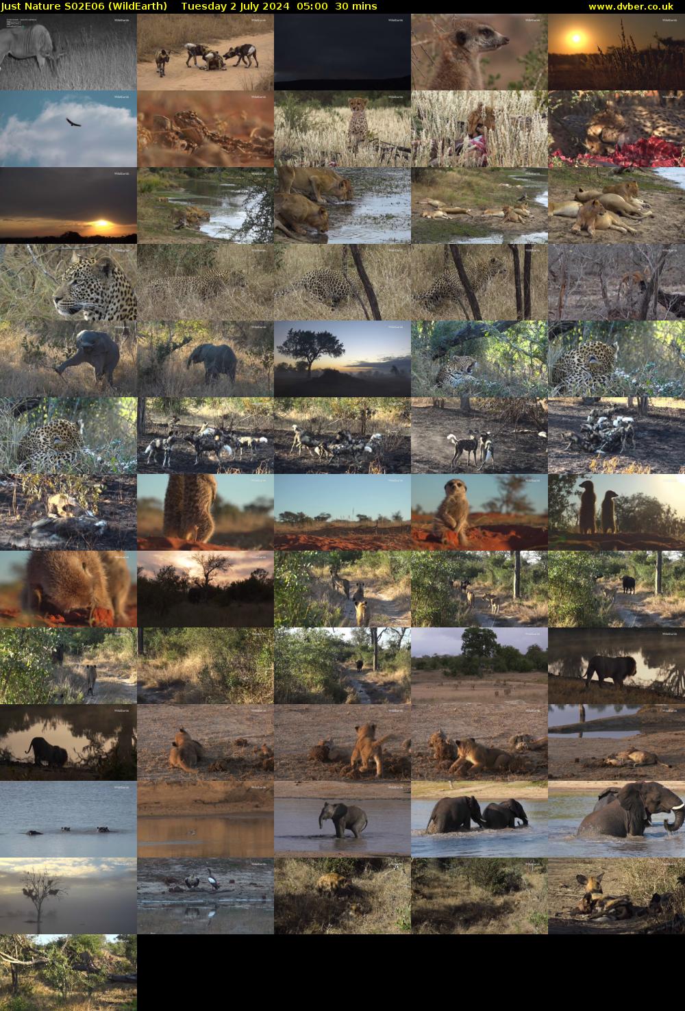 Just Nature S02E06 (WildEarth) Tuesday 2 July 2024 05:00 - 05:30