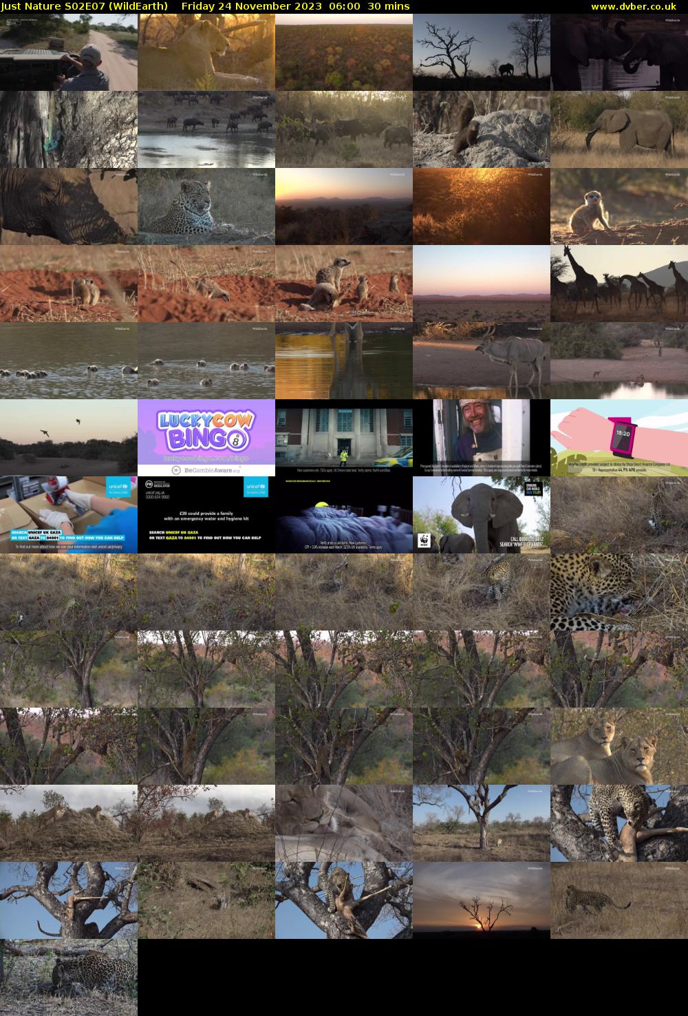 Just Nature S02E07 (WildEarth) Friday 24 November 2023 06:00 - 06:30