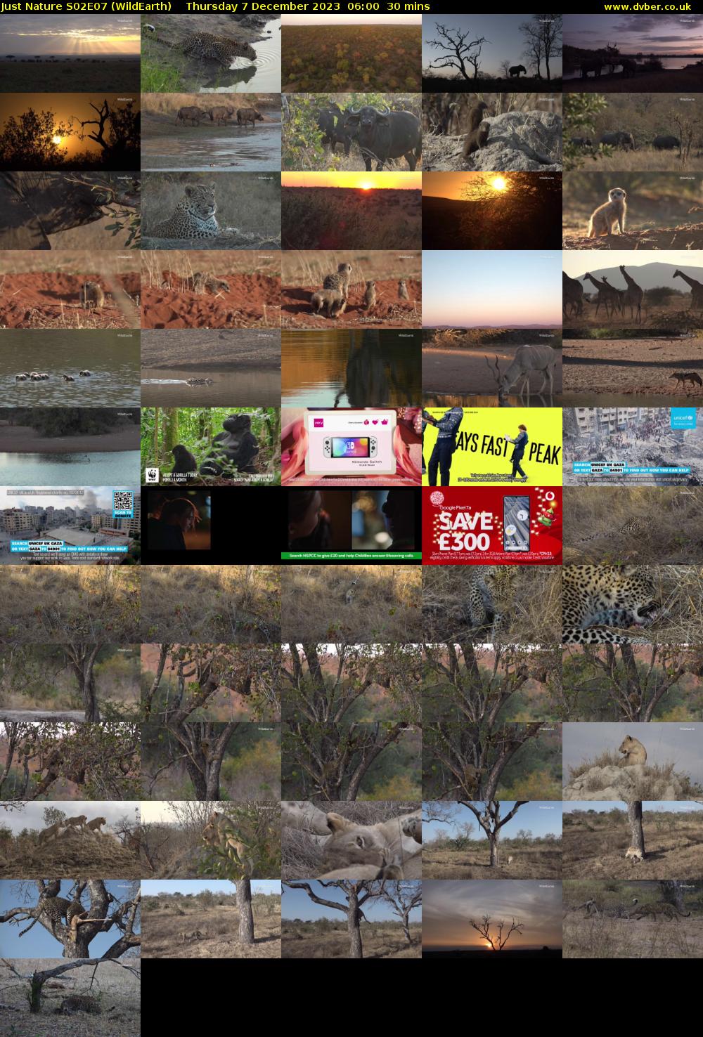 Just Nature S02E07 (WildEarth) Thursday 7 December 2023 06:00 - 06:30