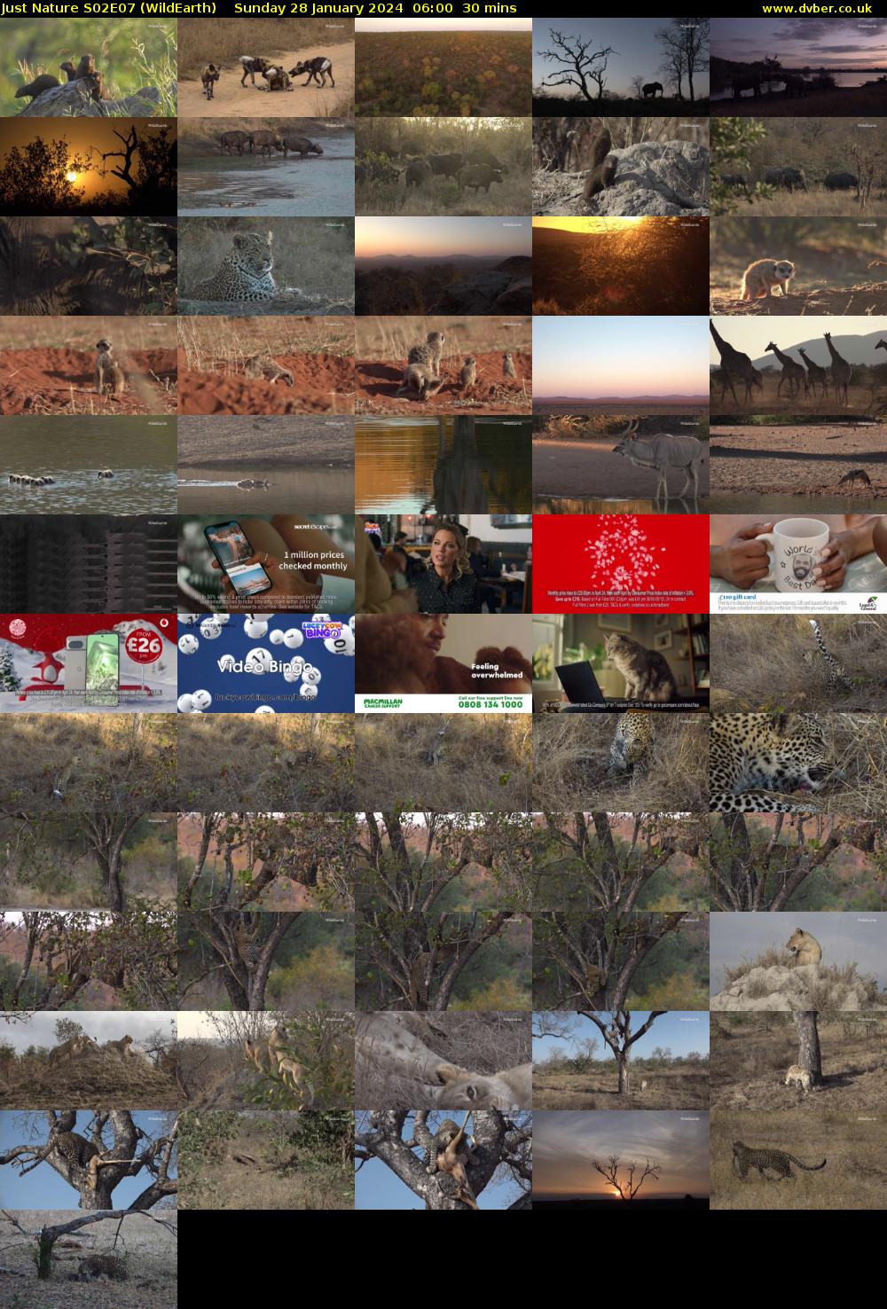 Just Nature S02E07 (WildEarth) Sunday 28 January 2024 06:00 - 06:30