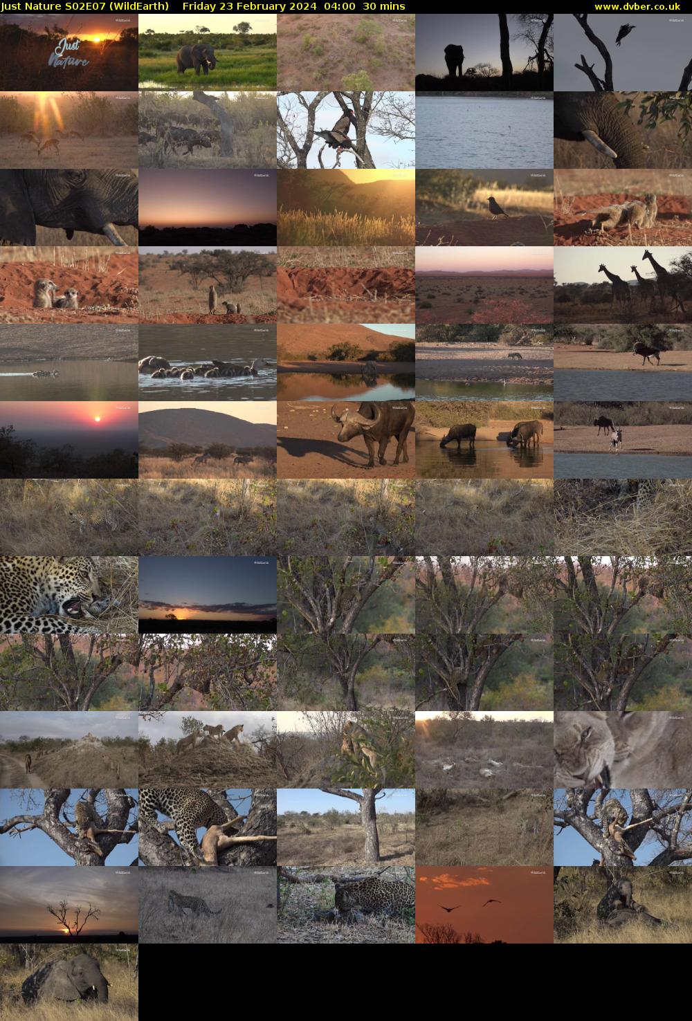 Just Nature S02E07 (WildEarth) Friday 23 February 2024 04:00 - 04:30