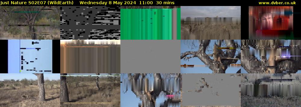 Just Nature S02E07 (WildEarth) Wednesday 8 May 2024 11:00 - 11:30