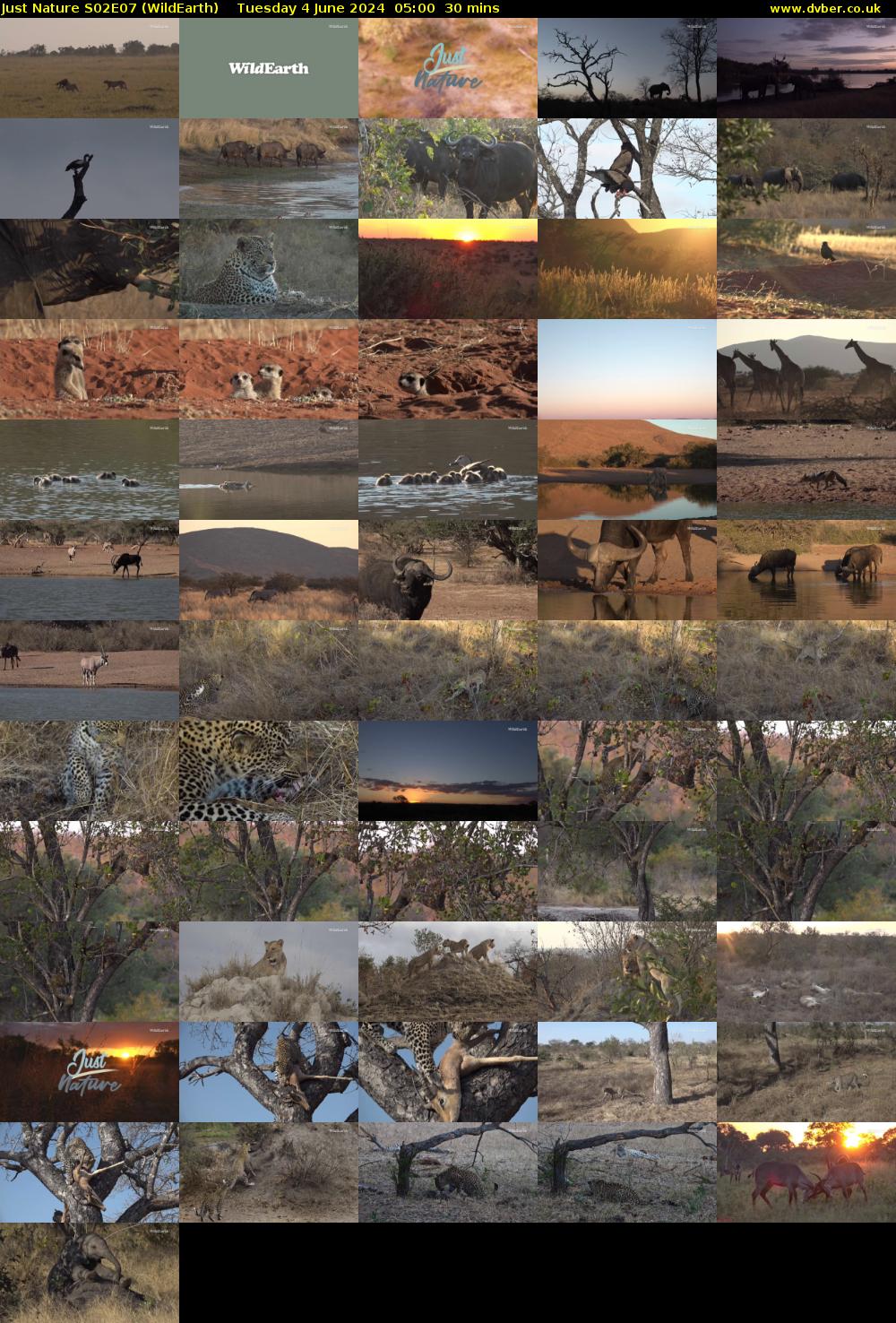 Just Nature S02E07 (WildEarth) Tuesday 4 June 2024 05:00 - 05:30