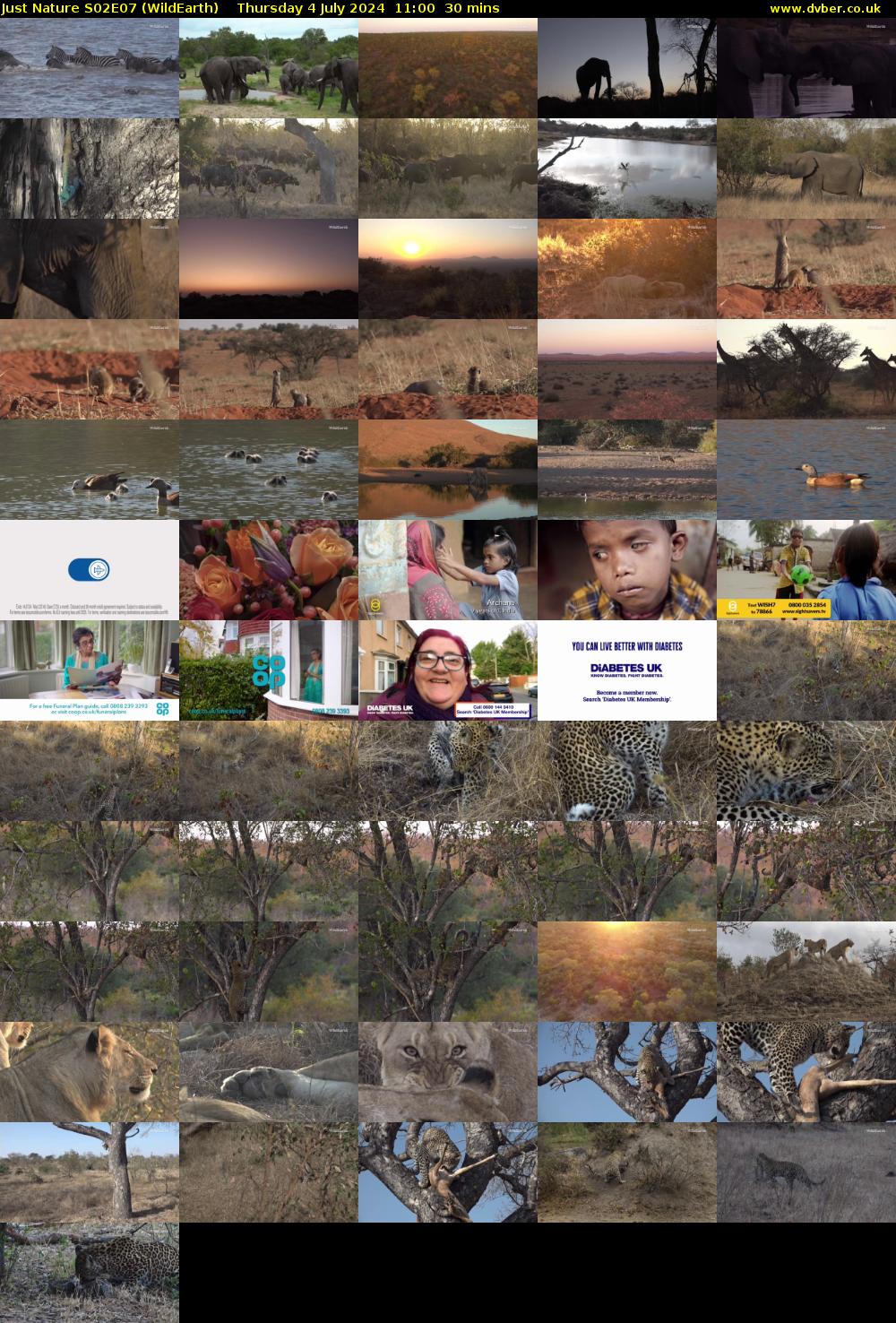 Just Nature S02E07 (WildEarth) Thursday 4 July 2024 11:00 - 11:30