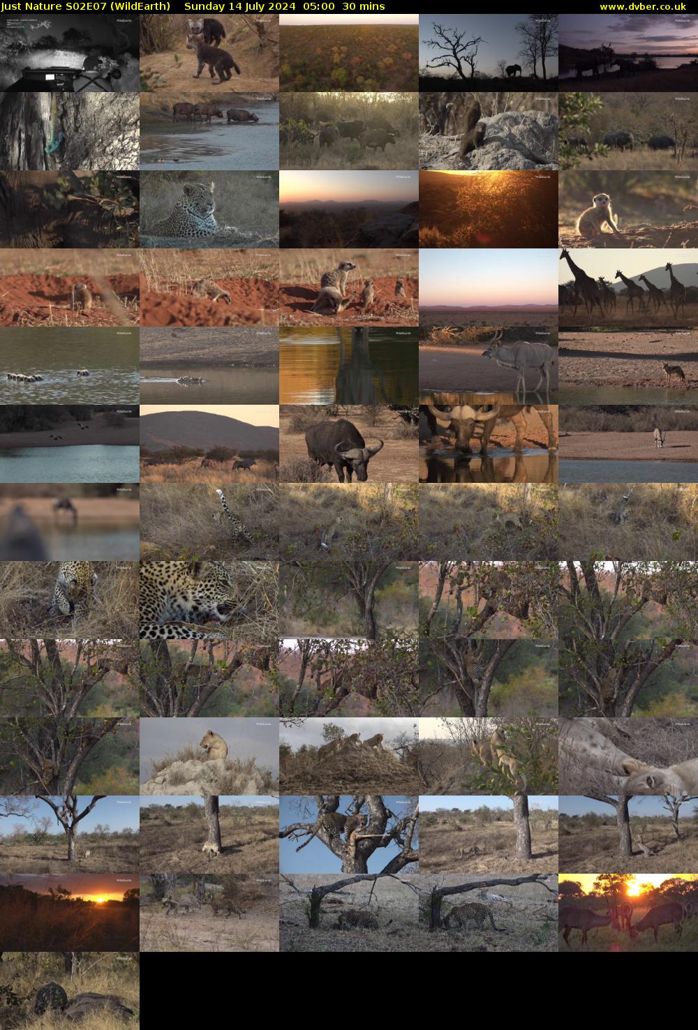 Just Nature S02E07 (WildEarth) Sunday 14 July 2024 05:00 - 05:30