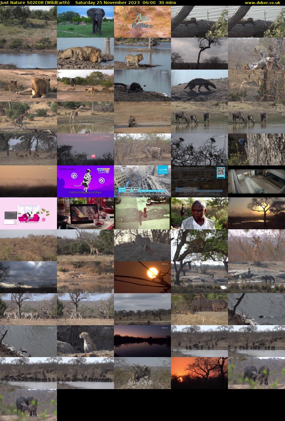 Just Nature S02E08 (WildEarth) Saturday 25 November 2023 06:00 - 06:30