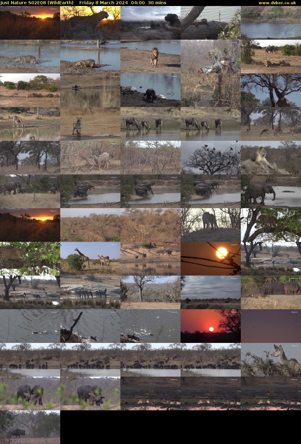 Just Nature S02E08 (WildEarth) Friday 8 March 2024 04:00 - 04:30