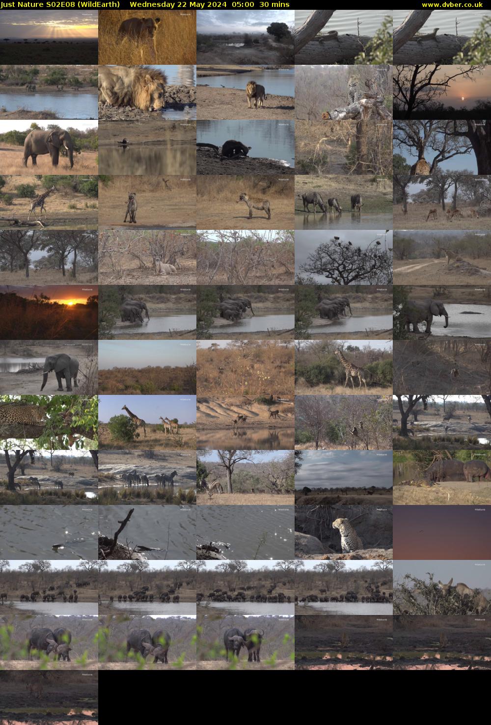Just Nature S02E08 (WildEarth) Wednesday 22 May 2024 05:00 - 05:30