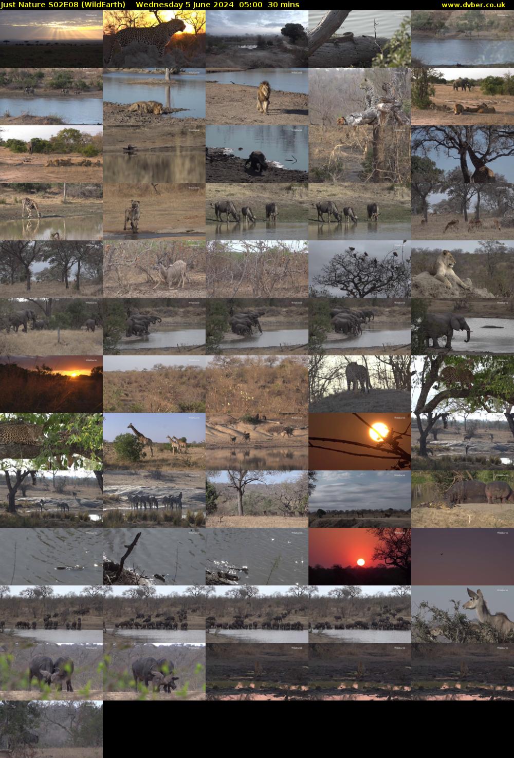 Just Nature S02E08 (WildEarth) Wednesday 5 June 2024 05:00 - 05:30