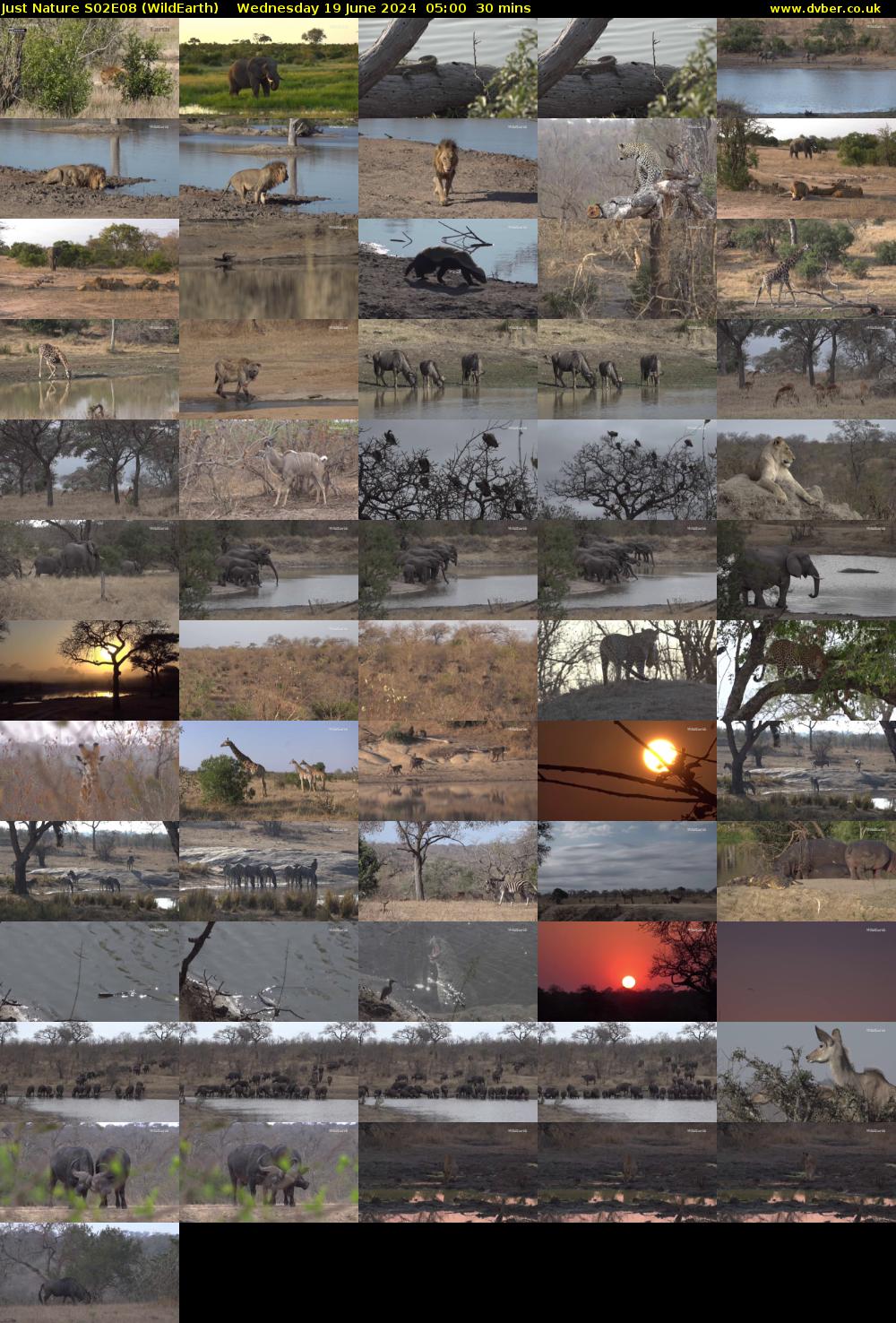 Just Nature S02E08 (WildEarth) Wednesday 19 June 2024 05:00 - 05:30
