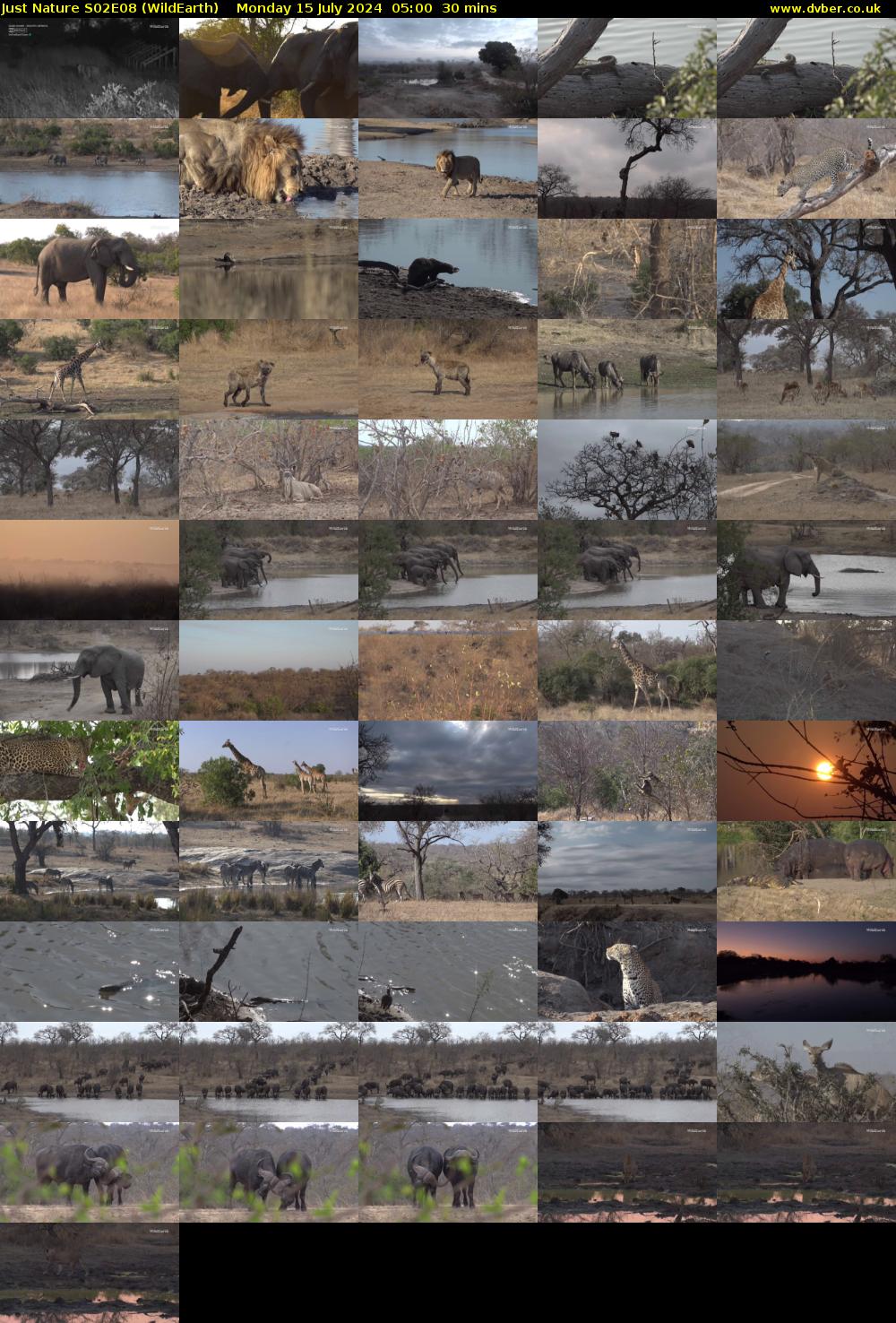 Just Nature S02E08 (WildEarth) Monday 15 July 2024 05:00 - 05:30