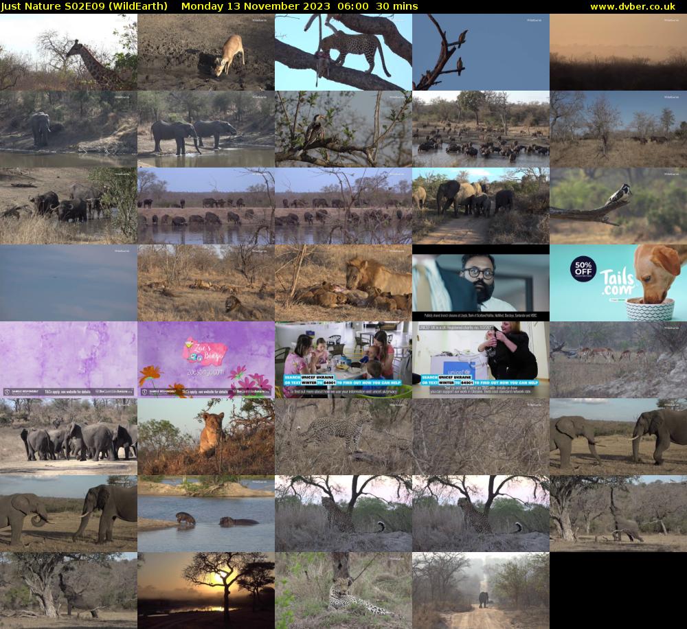 Just Nature S02E09 (WildEarth) Monday 13 November 2023 06:00 - 06:30