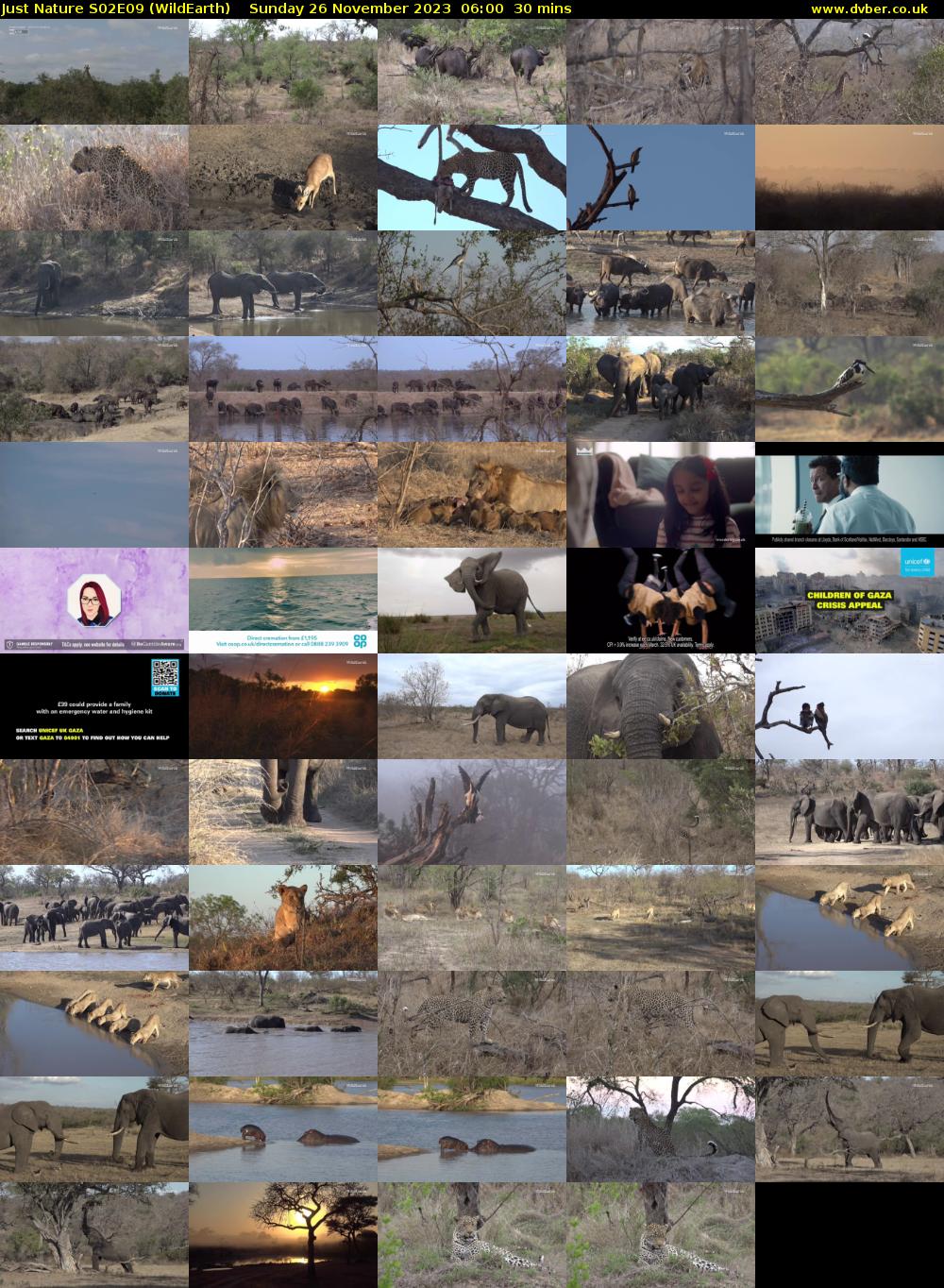 Just Nature S02E09 (WildEarth) Sunday 26 November 2023 06:00 - 06:30