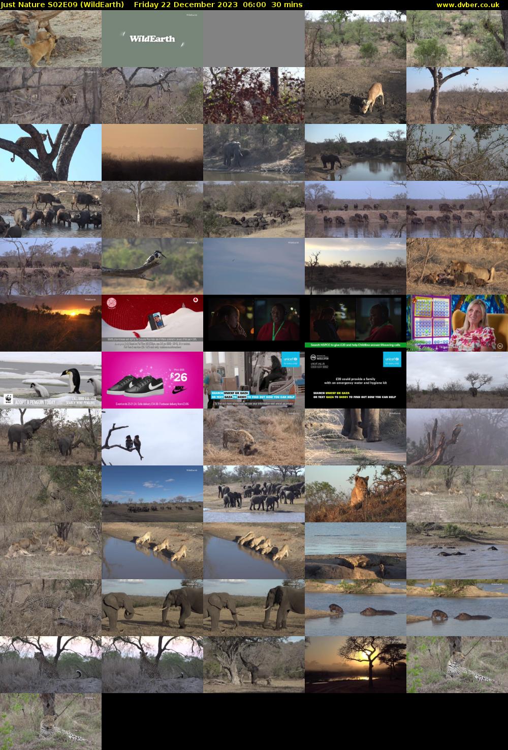 Just Nature S02E09 (WildEarth) Friday 22 December 2023 06:00 - 06:30