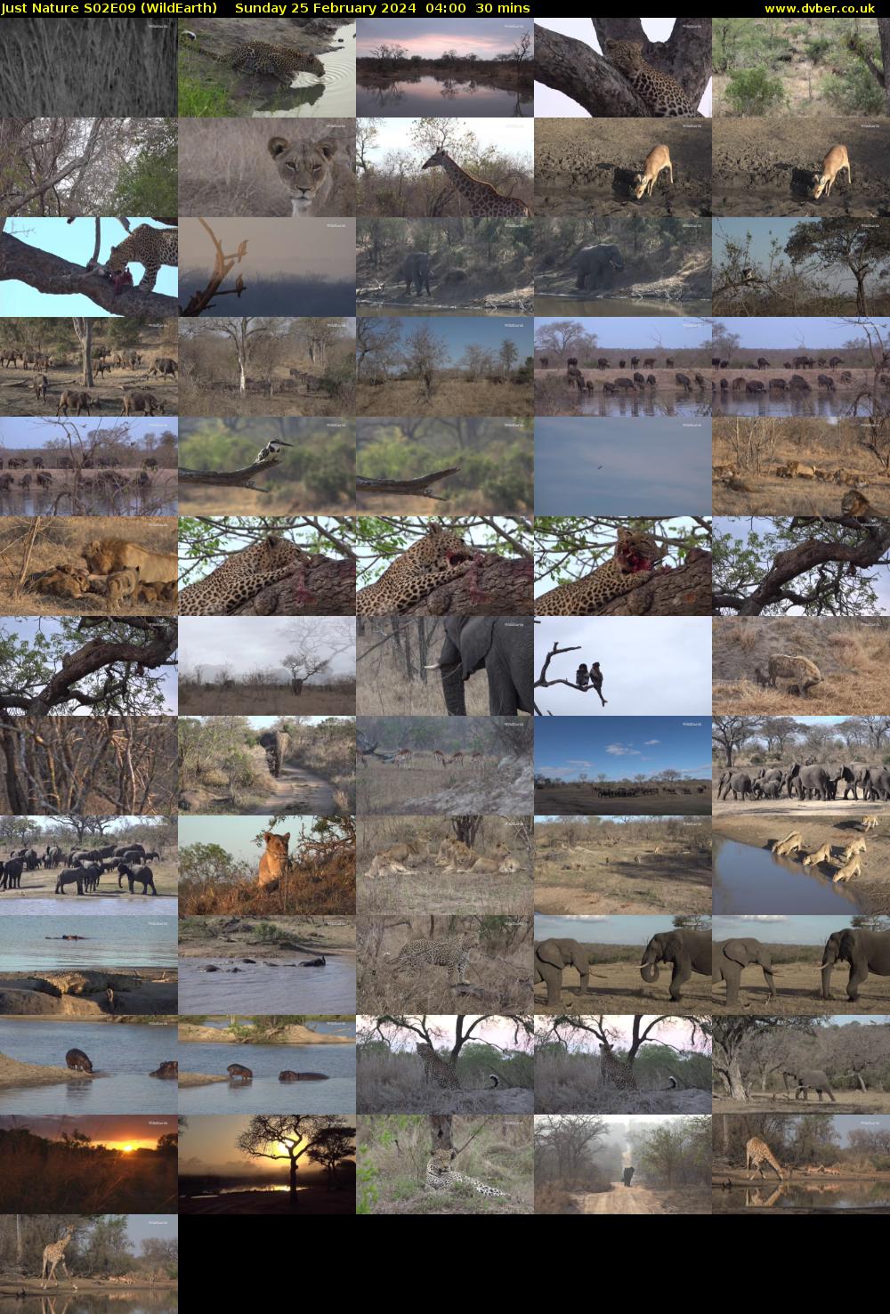 Just Nature S02E09 (WildEarth) Sunday 25 February 2024 04:00 - 04:30