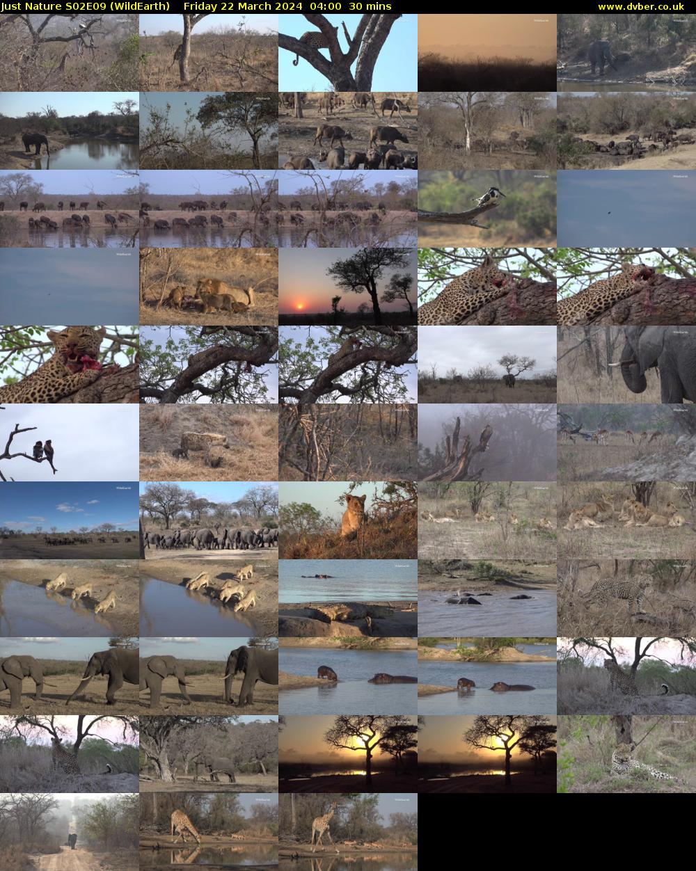 Just Nature S02E09 (WildEarth) Friday 22 March 2024 04:00 - 04:30
