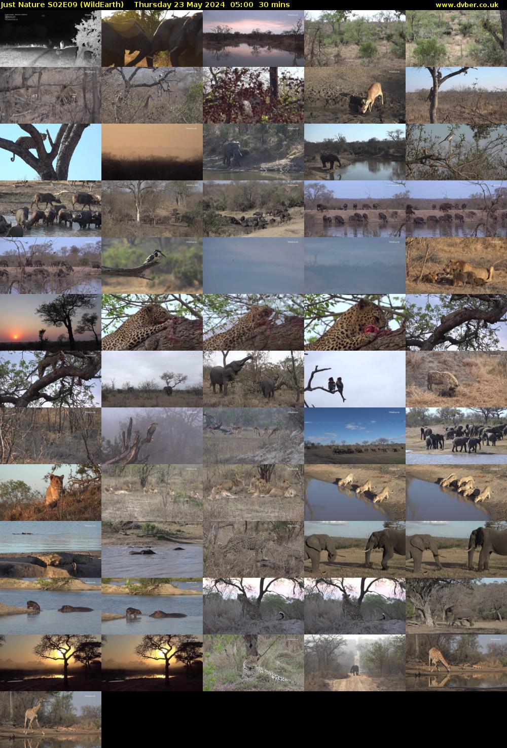 Just Nature S02E09 (WildEarth) Thursday 23 May 2024 05:00 - 05:30