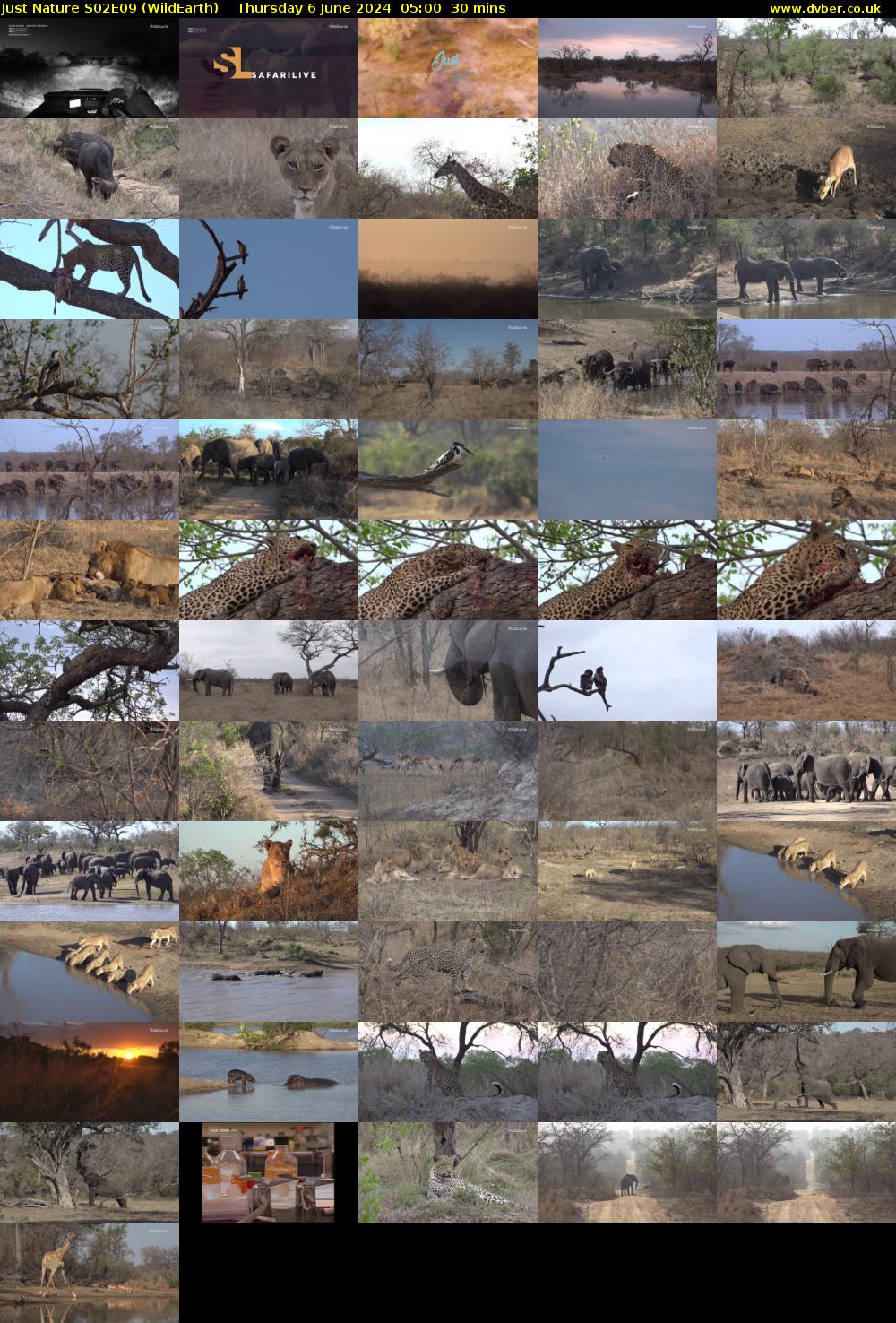 Just Nature S02E09 (WildEarth) Thursday 6 June 2024 05:00 - 05:30